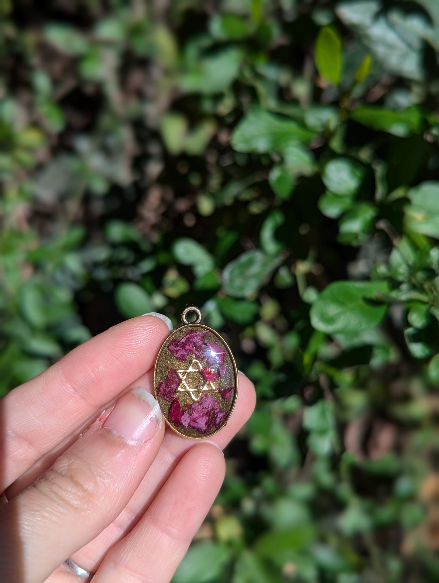Israel Encapsulated: Oval Pink Flower Fragments and Gold Star of David