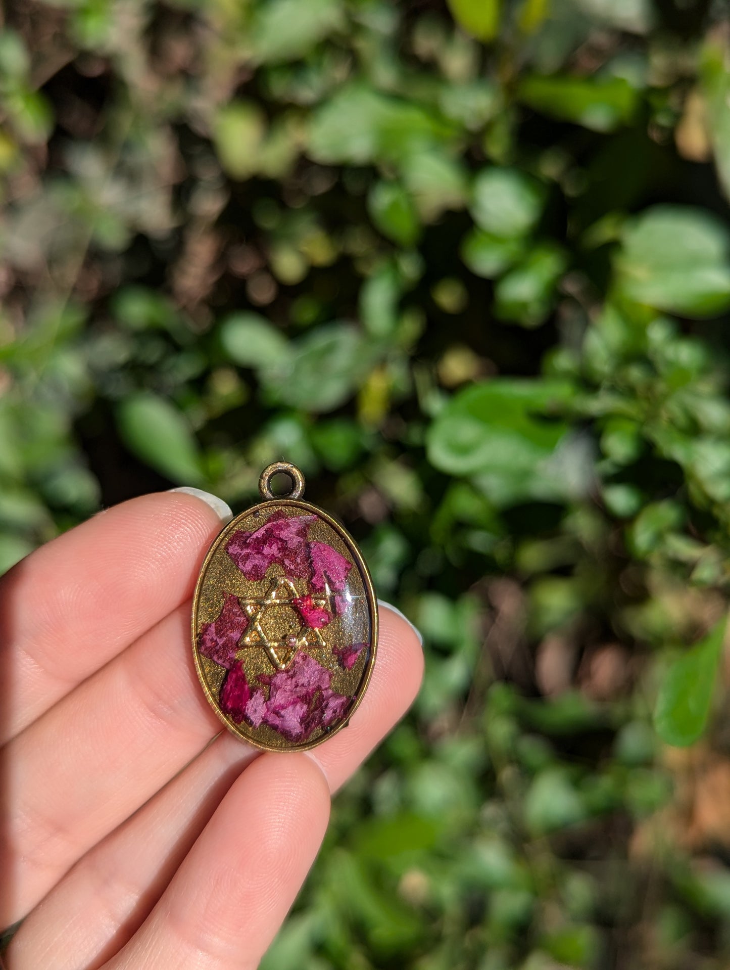 Israel Encapsulated: Oval Pink Flower Fragments and Gold Star of David