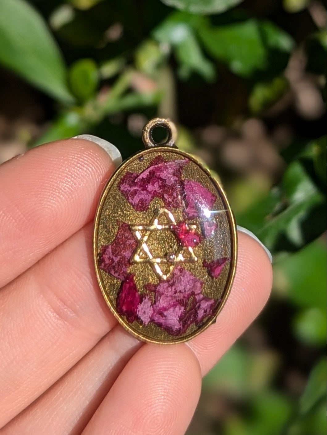 Israel Encapsulated: Oval Pink Flower Fragments and Gold Star of David