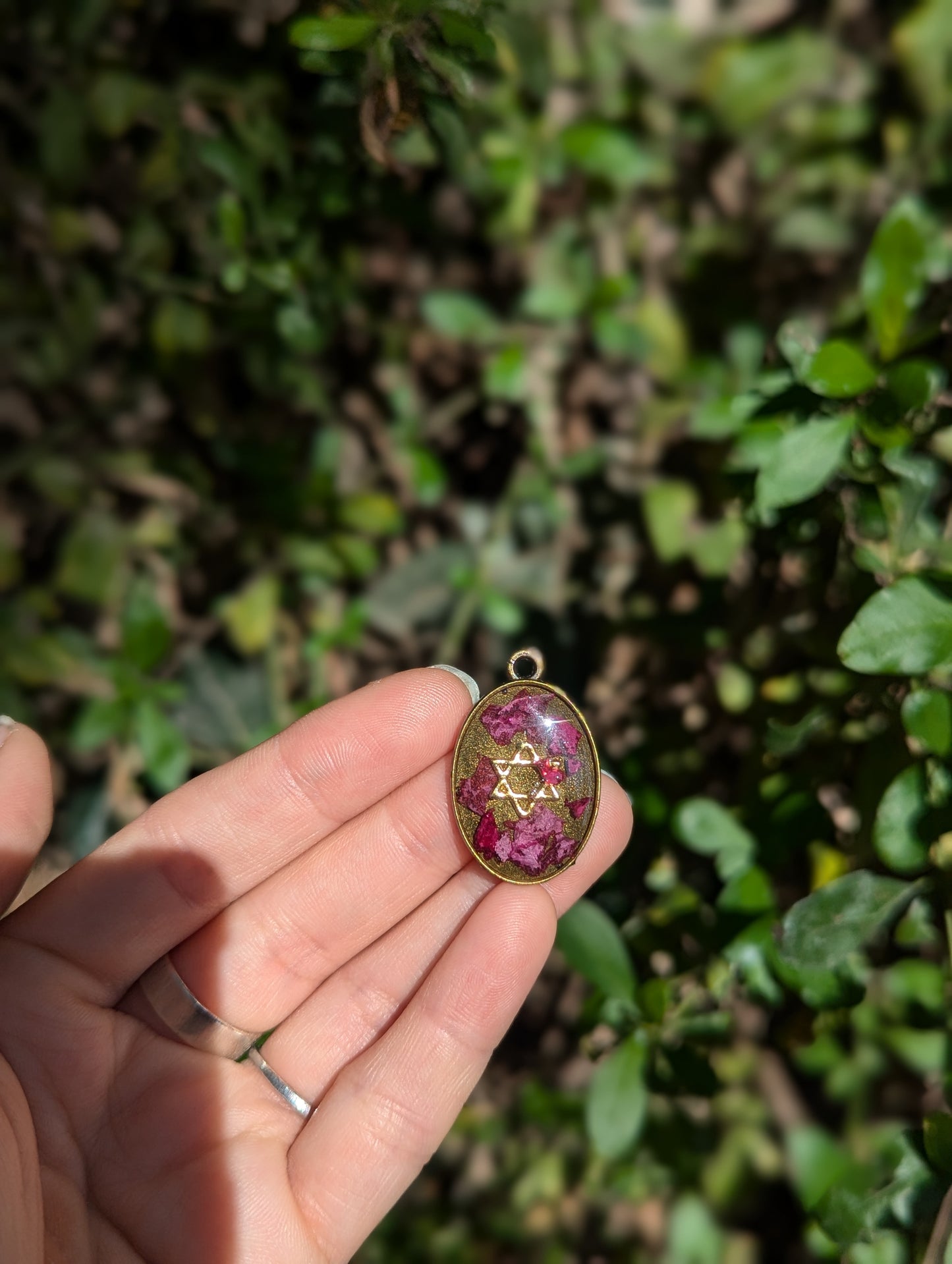 Israel Encapsulated: Oval Pink Flower Fragments and Gold Star of David