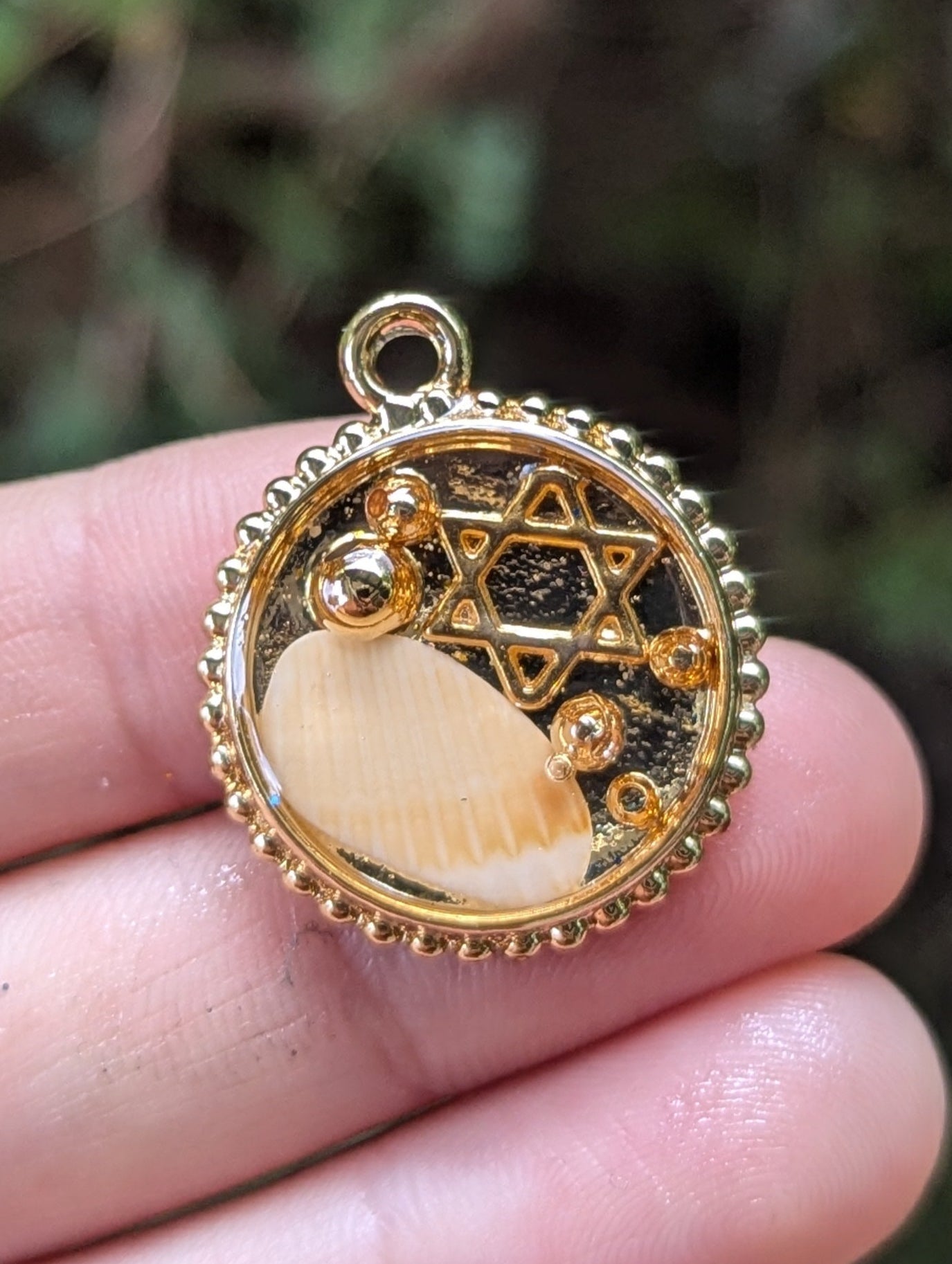 Israel Encapsulated: Israeli Shell, Gold Plated Bubble Beads and small Star of David Circular Pendant
