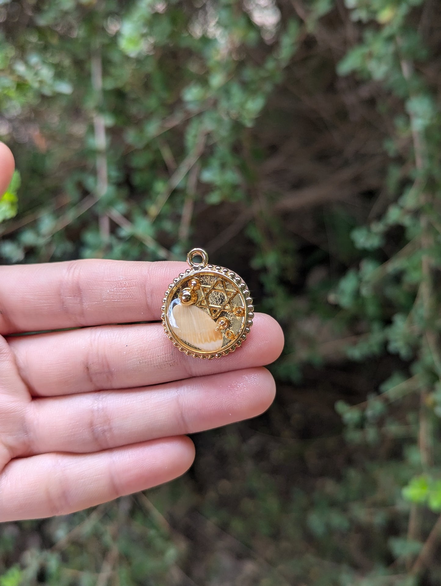 Israel Encapsulated: Israeli Shell, Gold Plated Bubble Beads and small Star of David Circular Pendant
