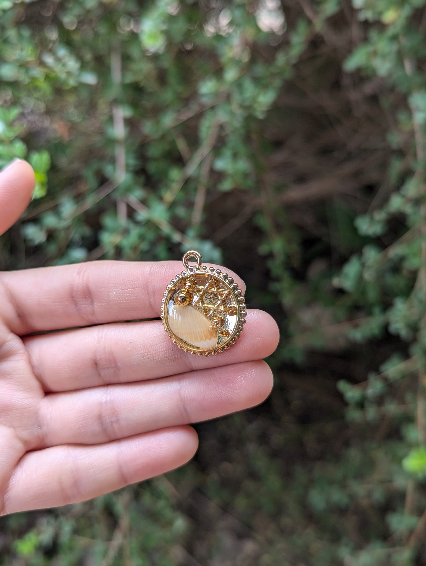 Israel Encapsulated: Israeli Shell, Gold Plated Bubble Beads and small Star of David Circular Pendant