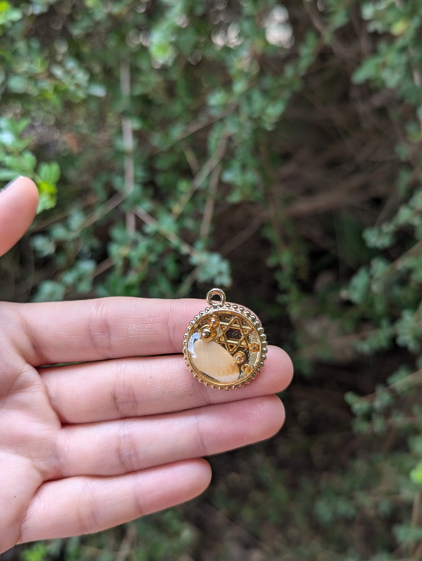 Israel Encapsulated: Israeli Shell, Gold Plated Bubble Beads and small Star of David Circular Pendant