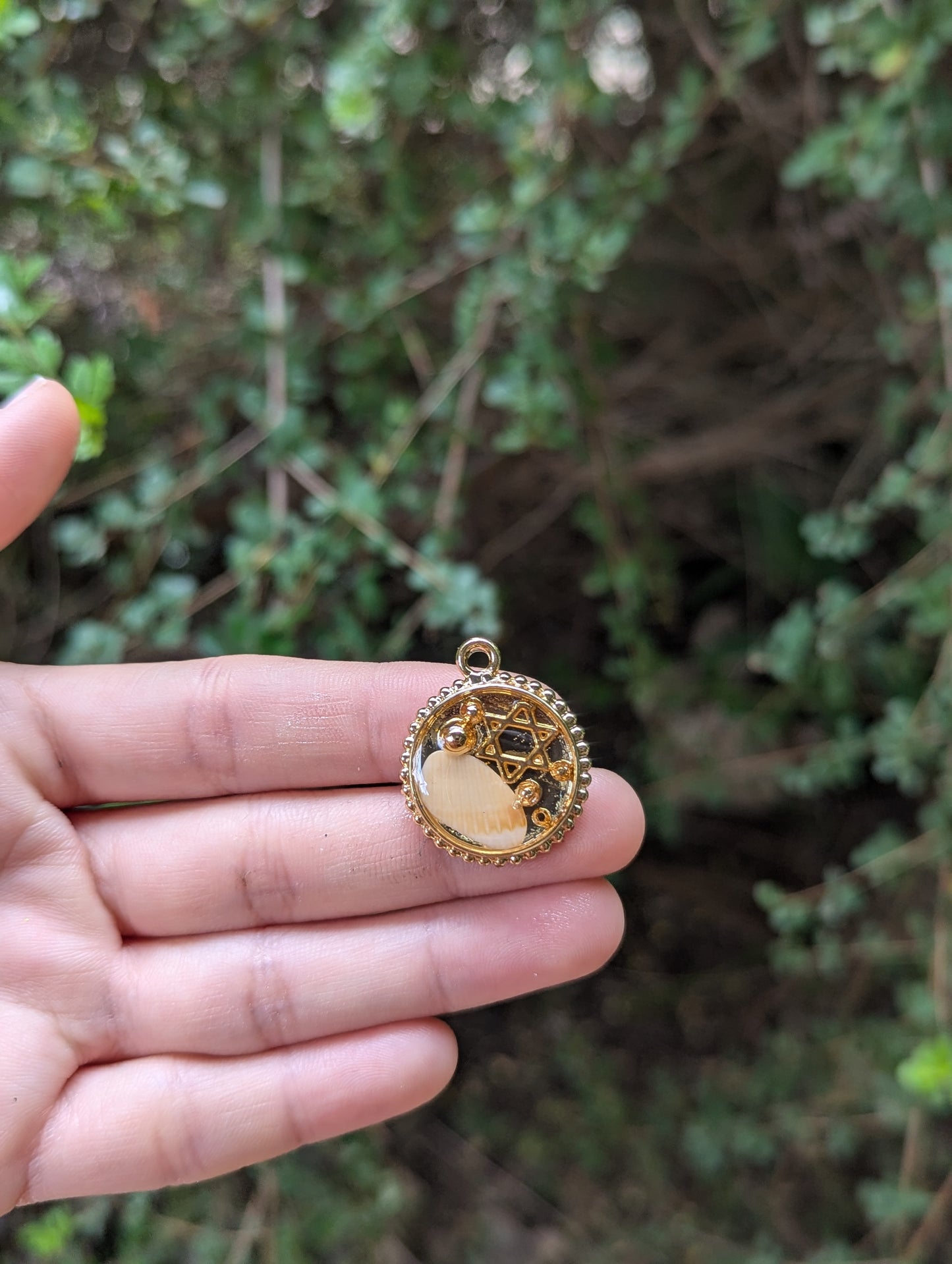 Israel Encapsulated: Israeli Shell, Gold Plated Bubble Beads and small Star of David Circular Pendant