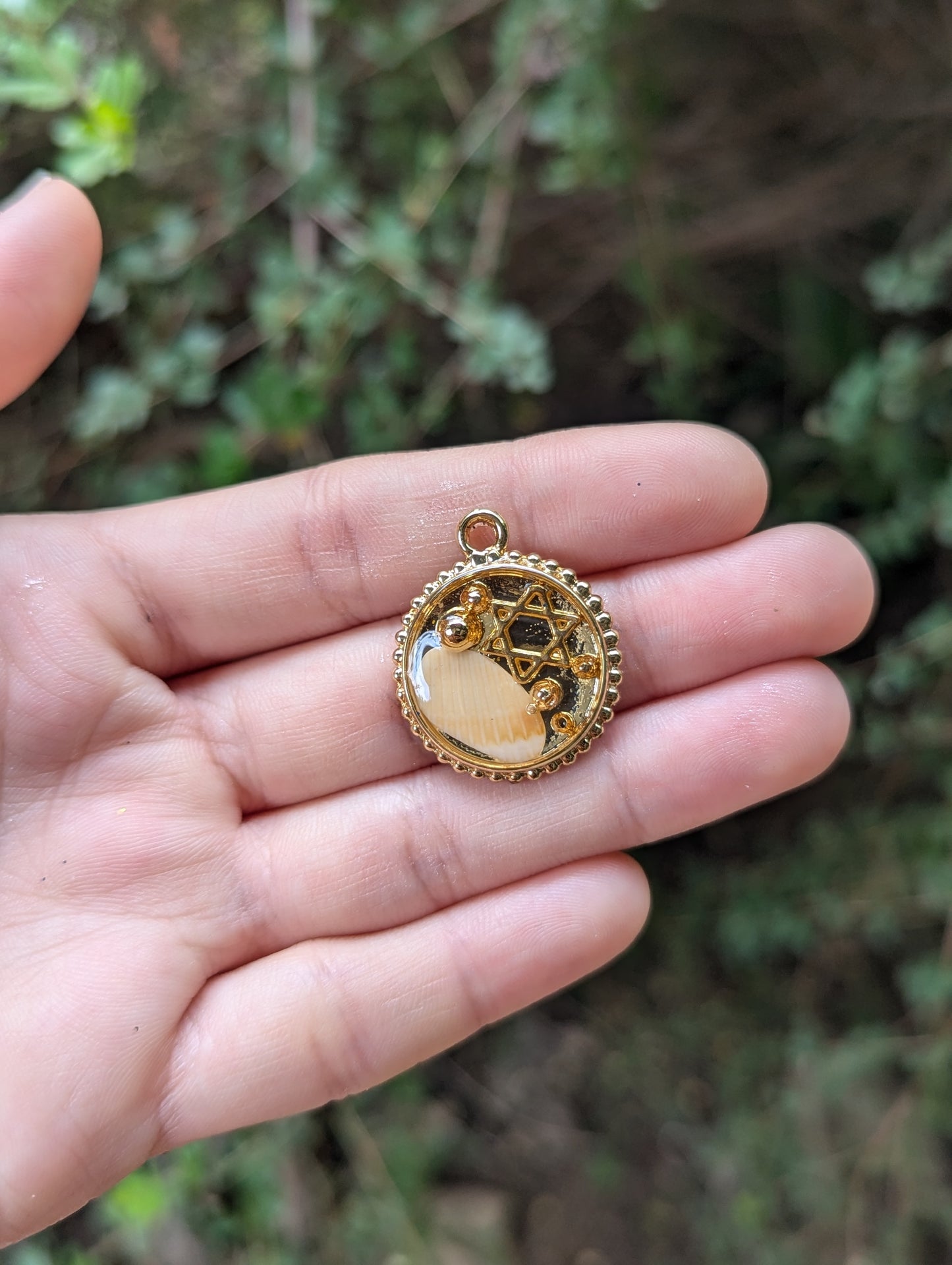 Israel Encapsulated: Israeli Shell, Gold Plated Bubble Beads and small Star of David Circular Pendant