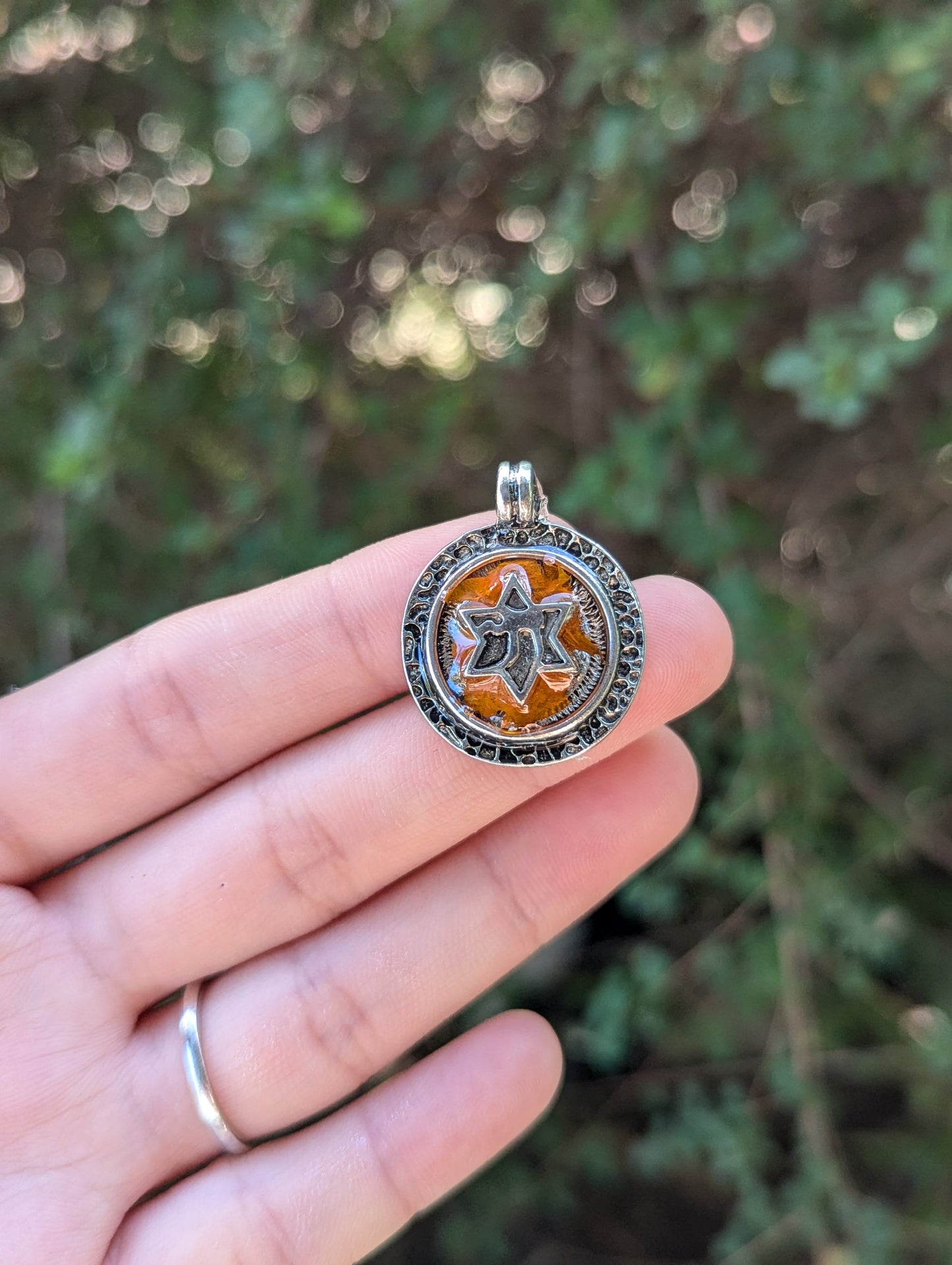 Israel Encapsulated: Chai Silver Magen David & Israeli Orange Flower Leaves