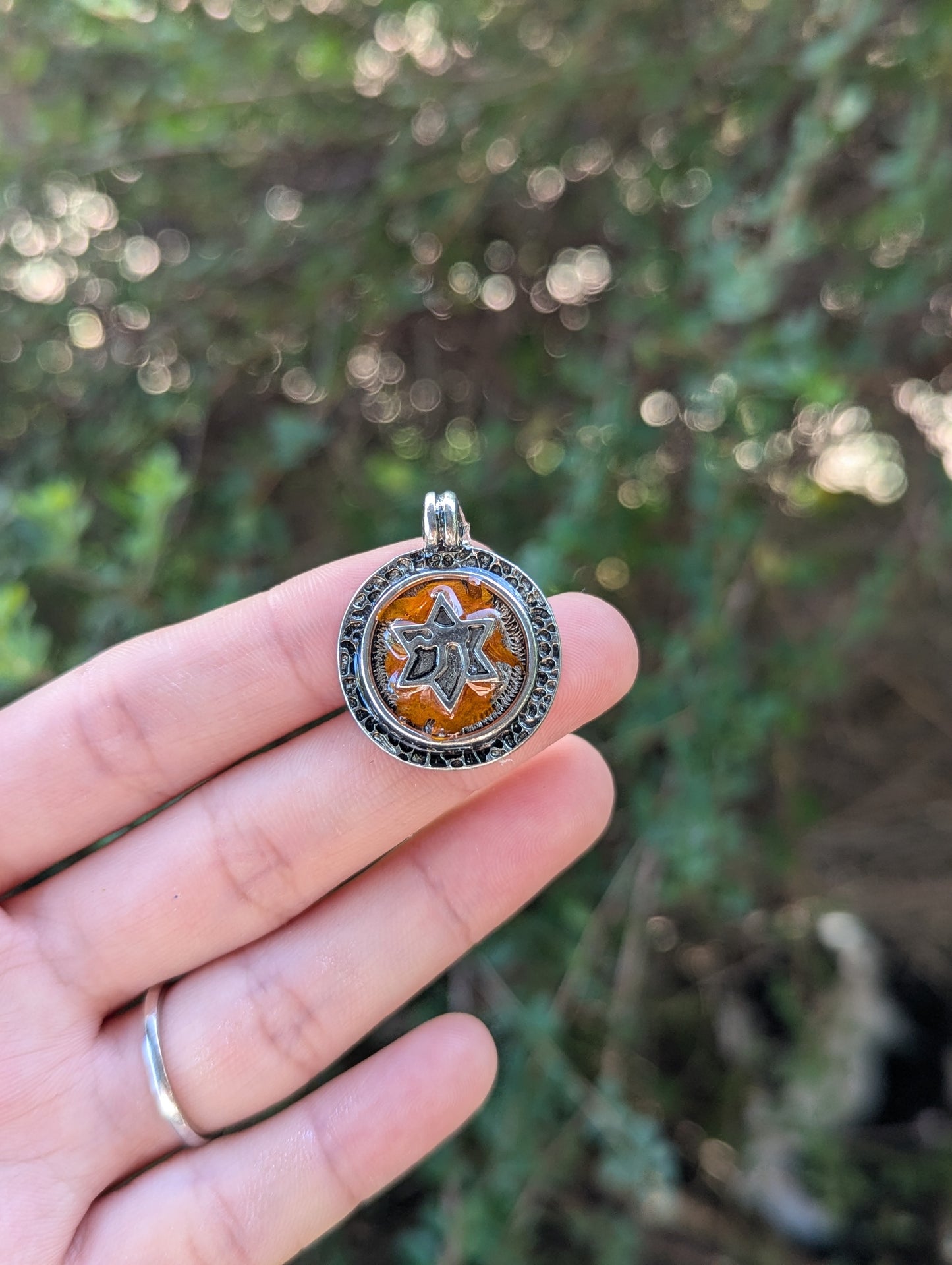 Israel Encapsulated: Chai Silver Magen David & Israeli Orange Flower Leaves