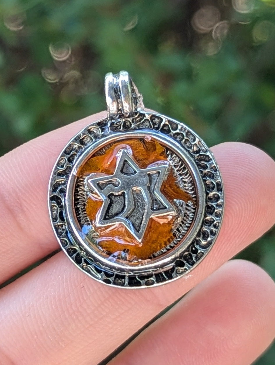 Israel Encapsulated: Chai Silver Magen David & Israeli Orange Flower Leaves