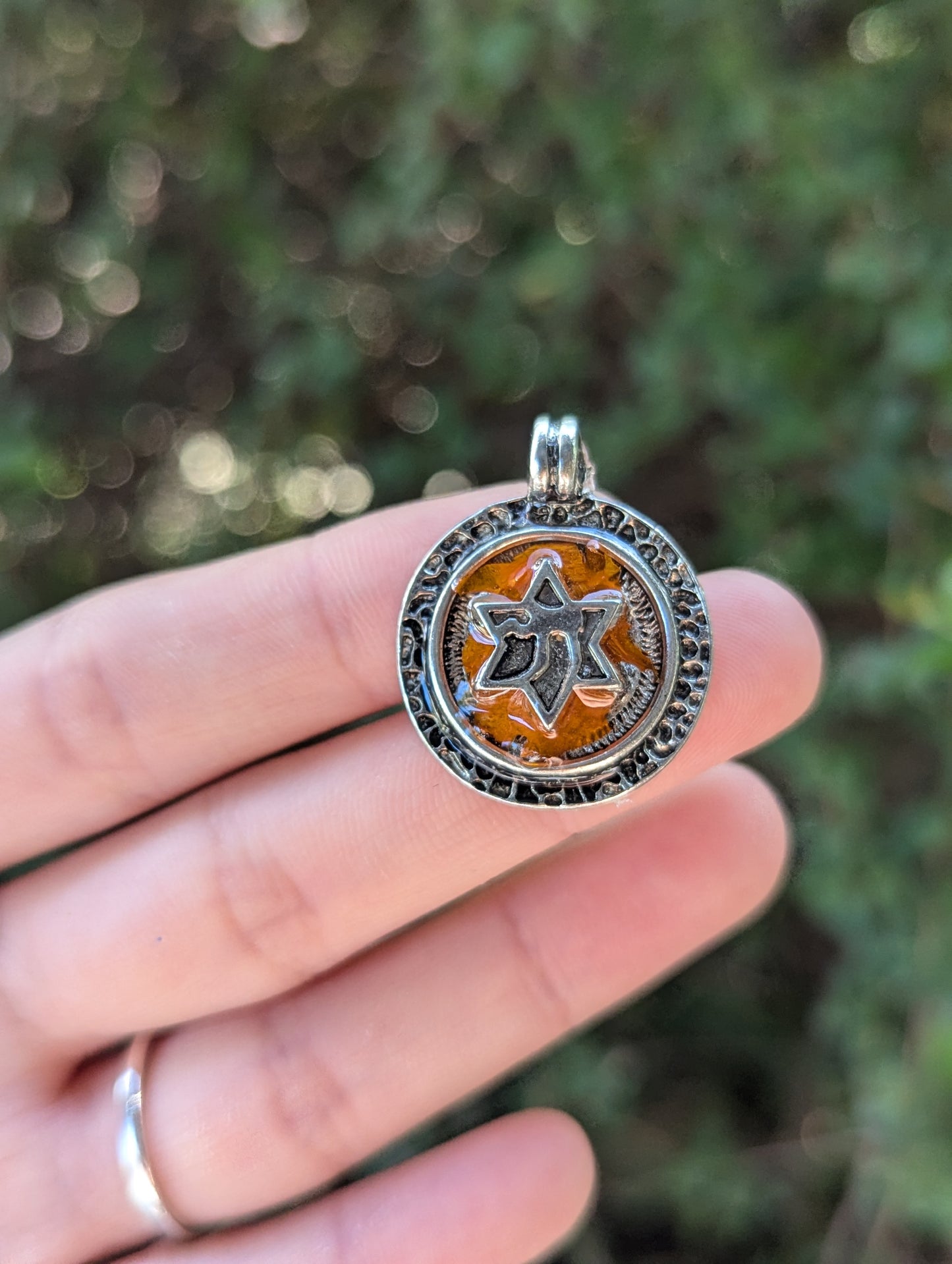 Israel Encapsulated: Chai Silver Magen David & Israeli Orange Flower Leaves