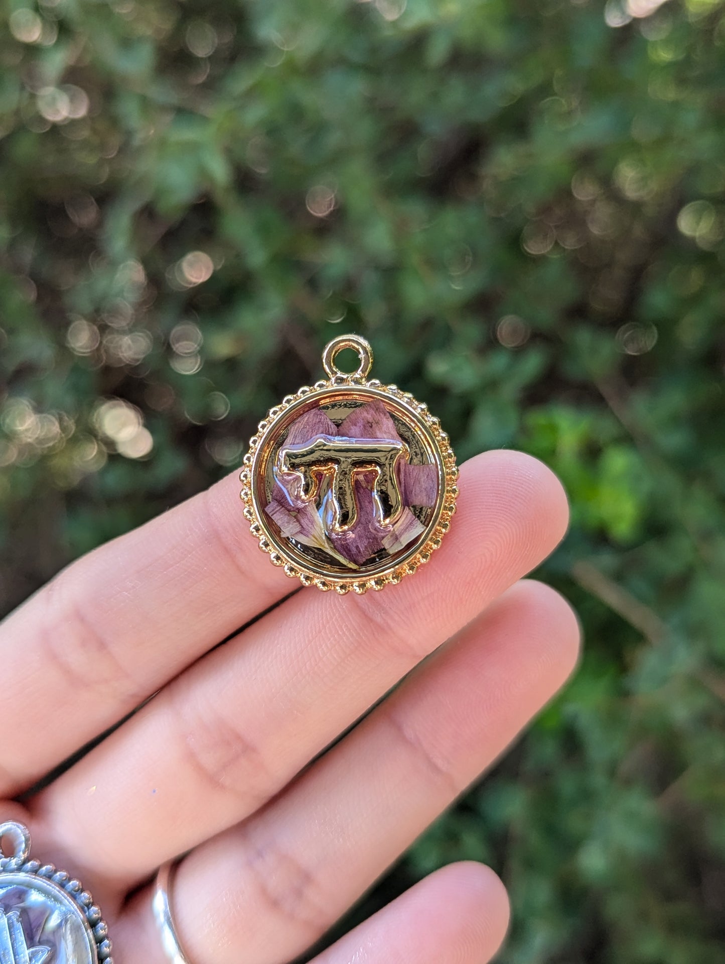 Israel Encapsulated: Gold Chai & Israeli Purple Pink Flower Leaves