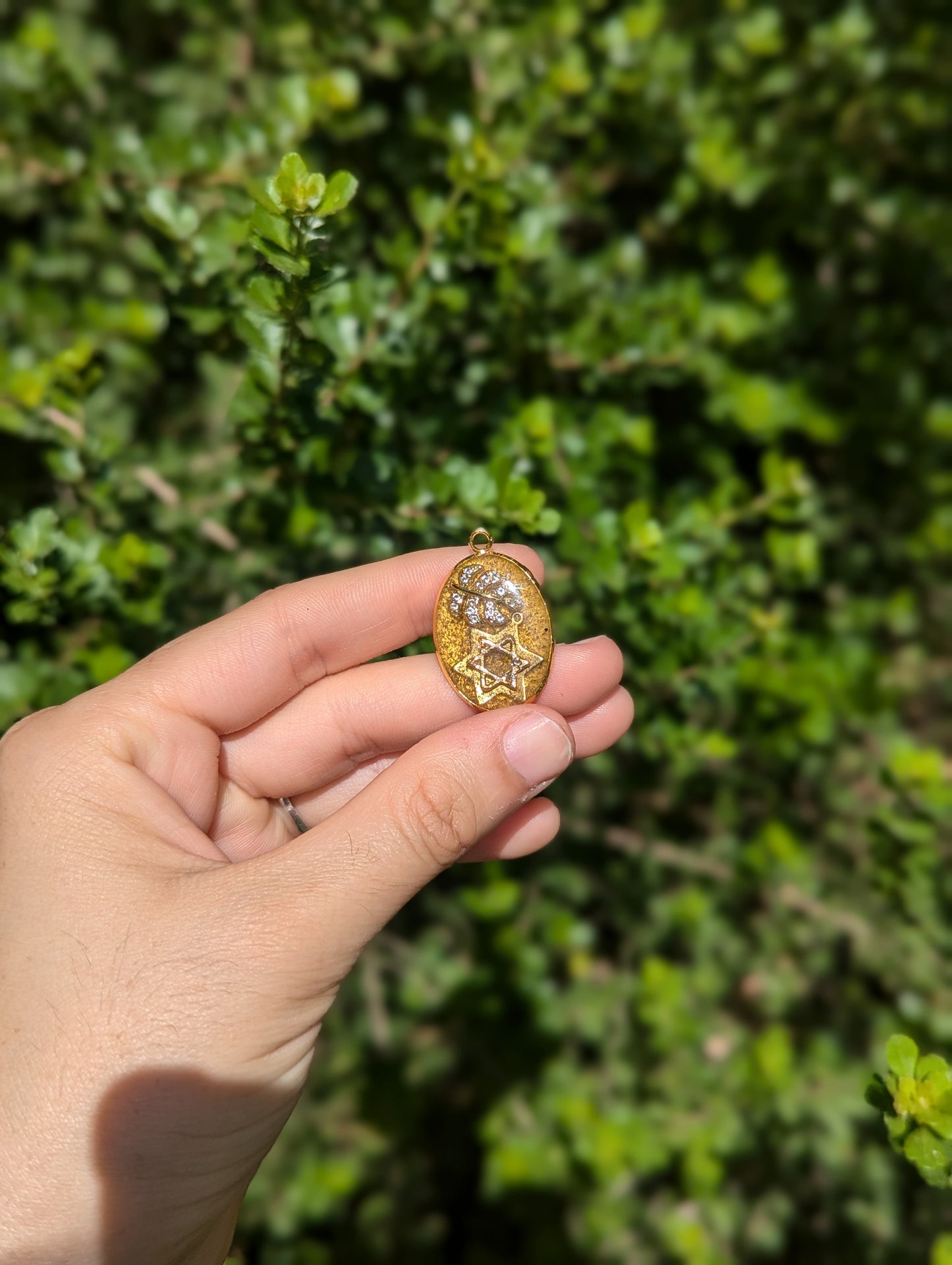 Israel Encapsulated: Israeli Golden Sand, Zirconia Leaf and Double Magen David