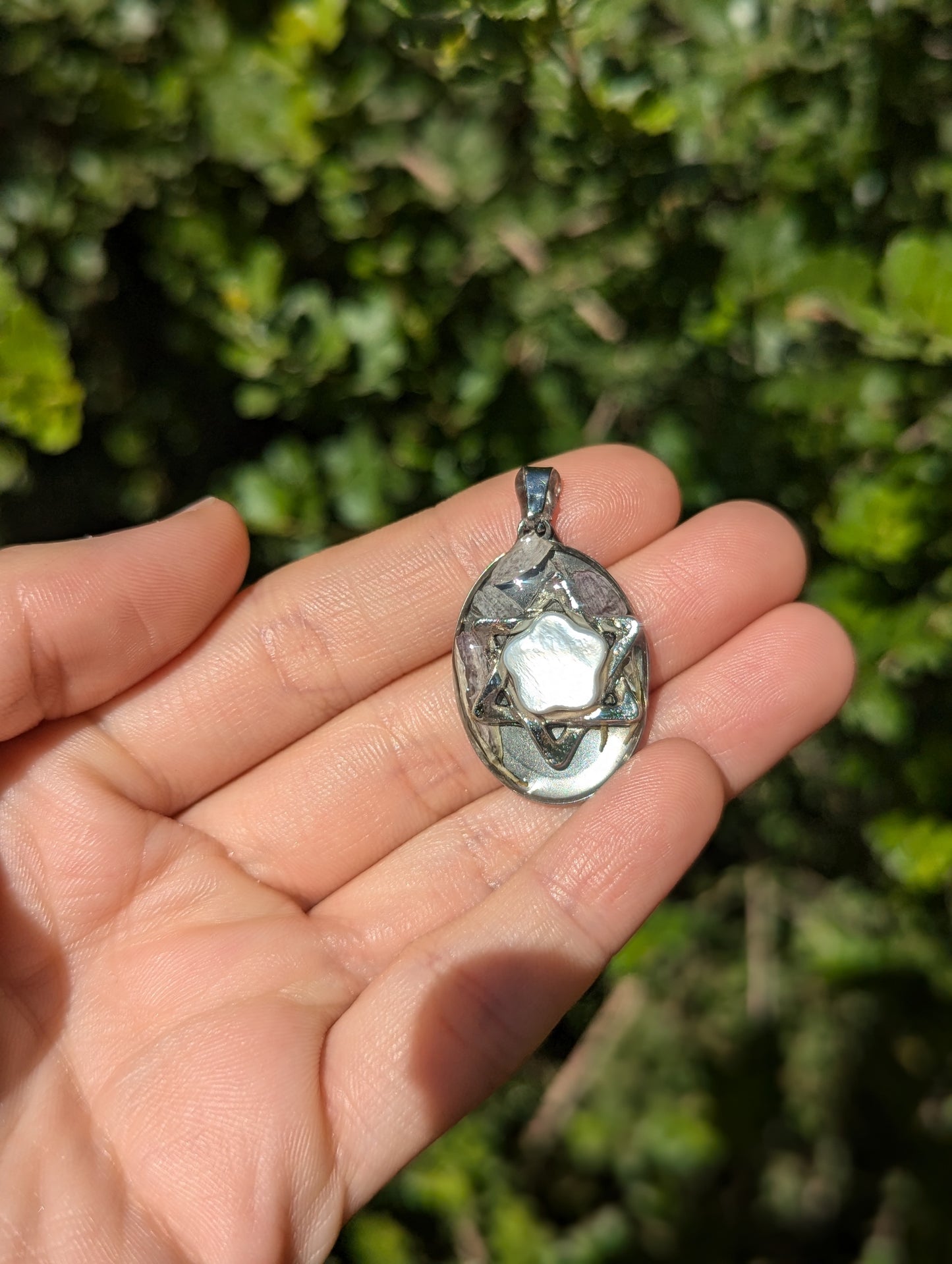 Israel Encapsulated: Israeli Pink Flower leaves and Silver Magen David