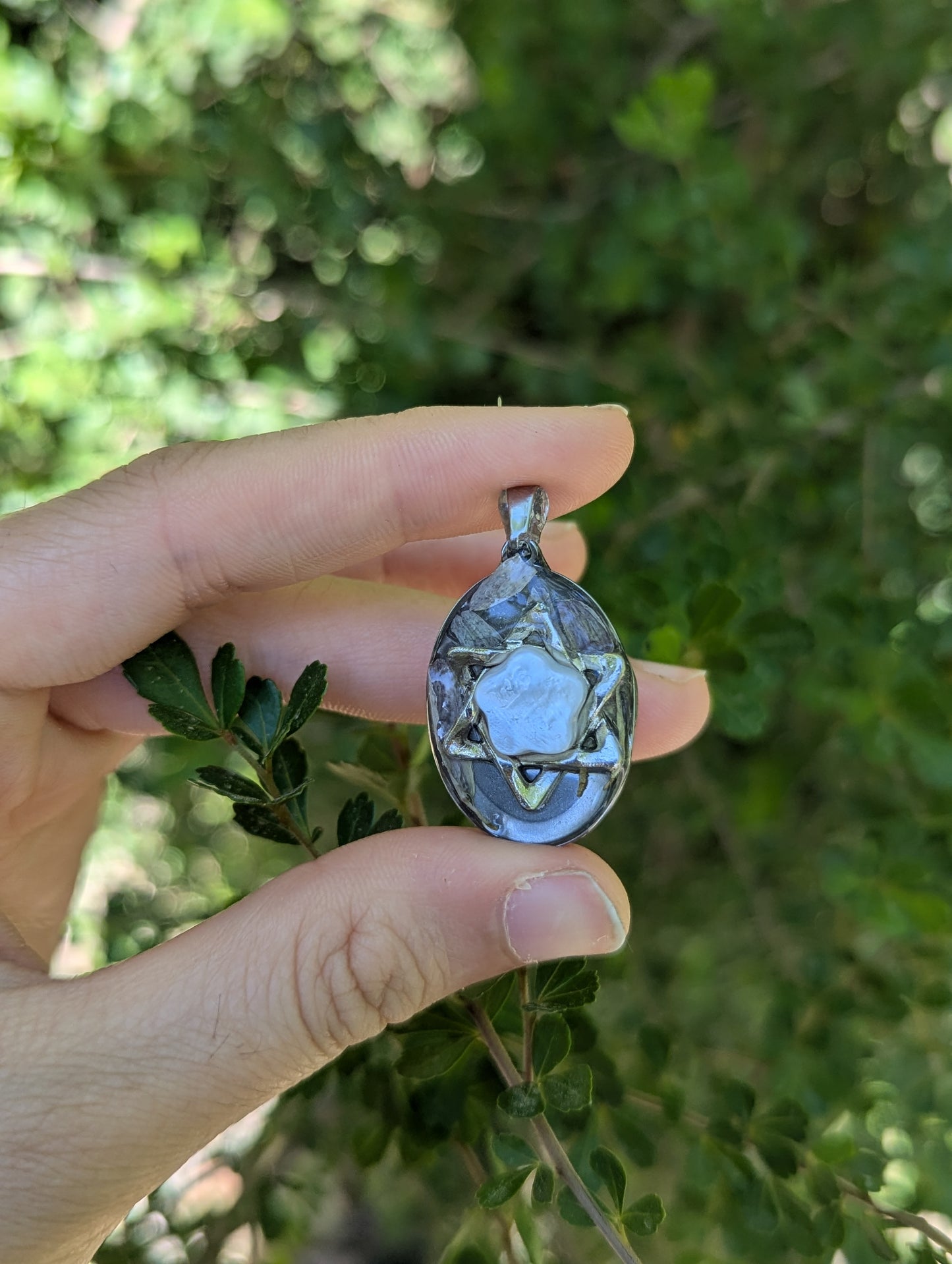 Israel Encapsulated: Israeli Pink Flower leaves and Silver Magen David