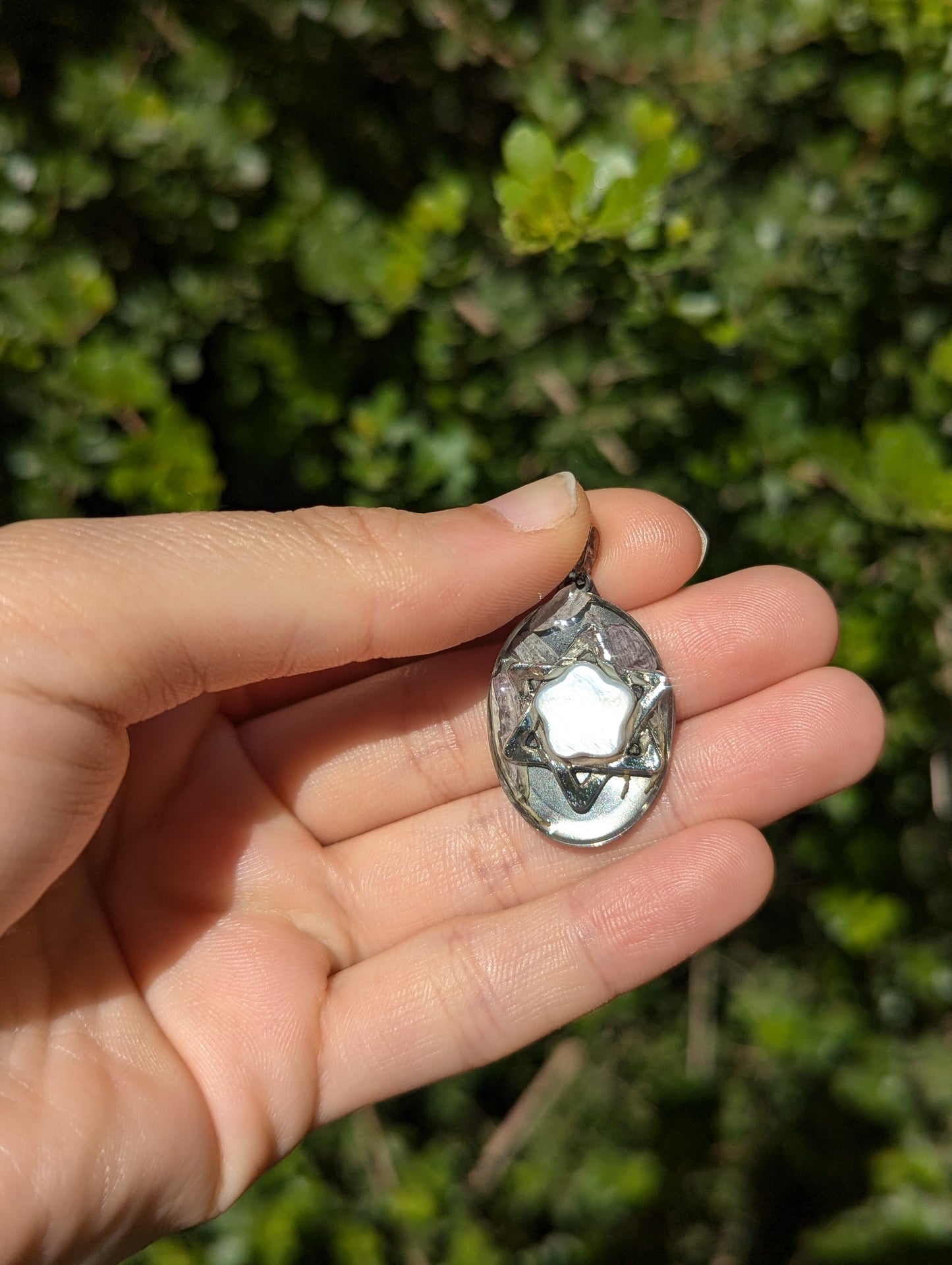 Israel Encapsulated: Israeli Pink Flower leaves and Silver Magen David