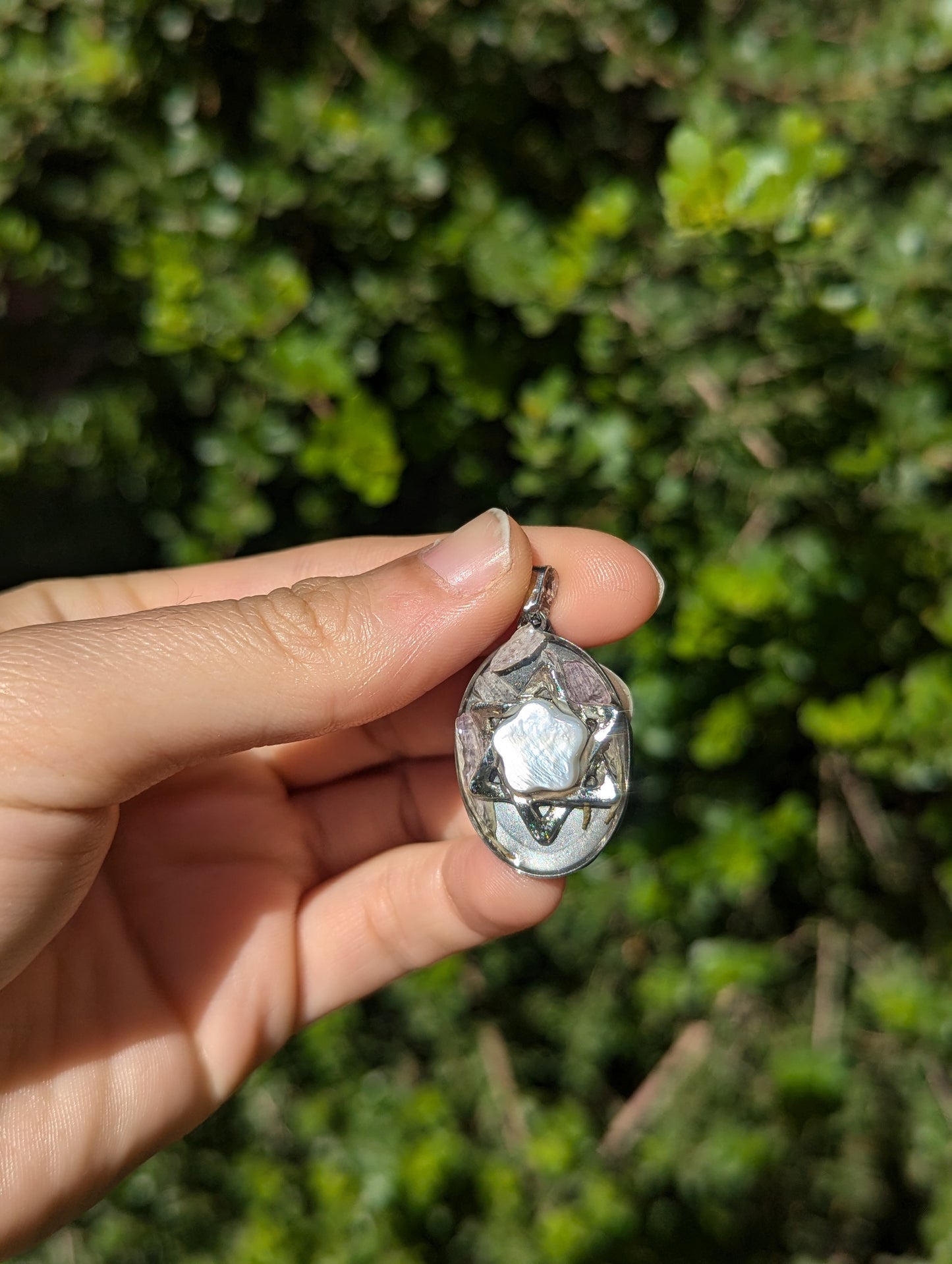 Israel Encapsulated: Israeli Pink Flower leaves and Silver Magen David