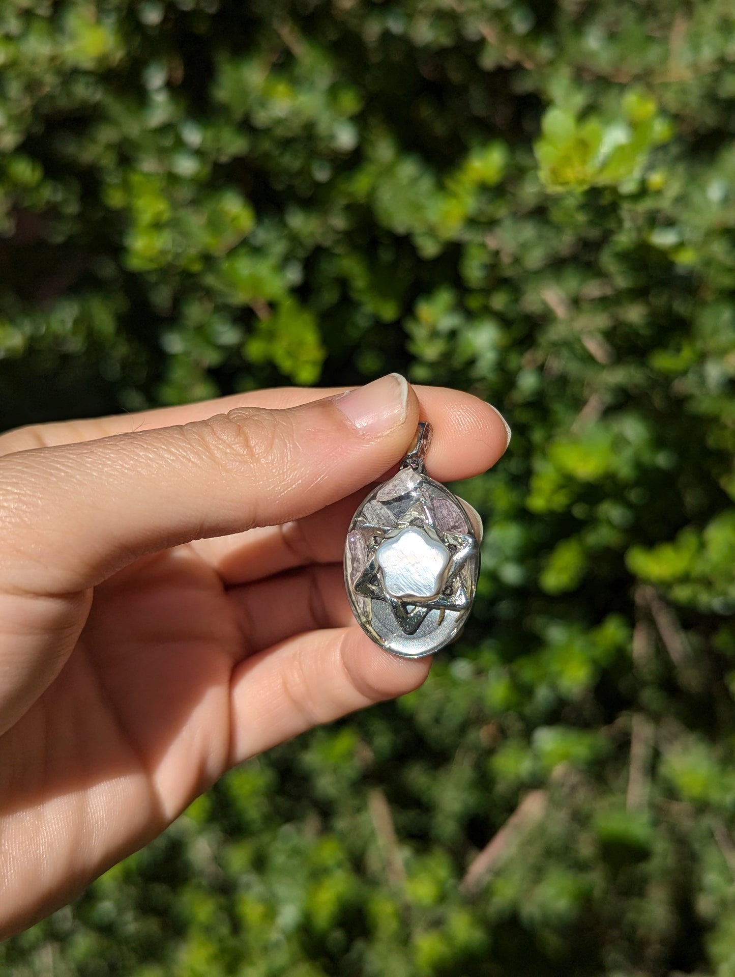 Israel Encapsulated: Israeli Pink Flower leaves and Silver Magen David