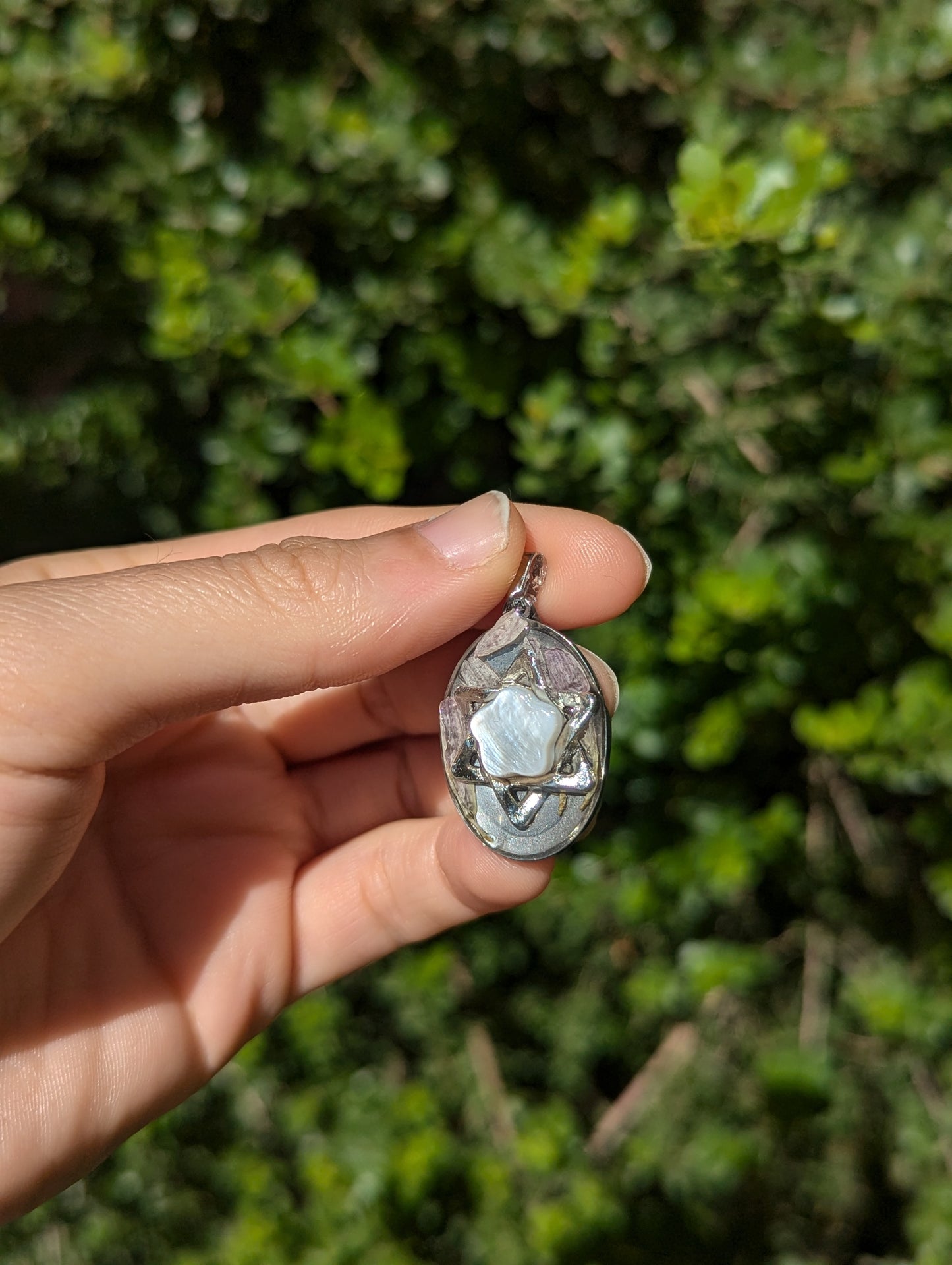 Israel Encapsulated: Israeli Pink Flower leaves and Silver Magen David