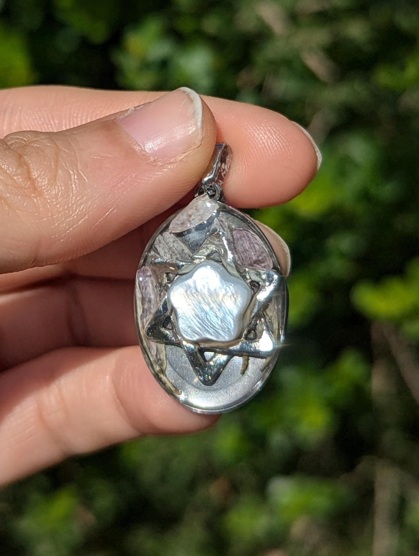 Israel Encapsulated: Israeli Pink Flower leaves and Silver Magen David