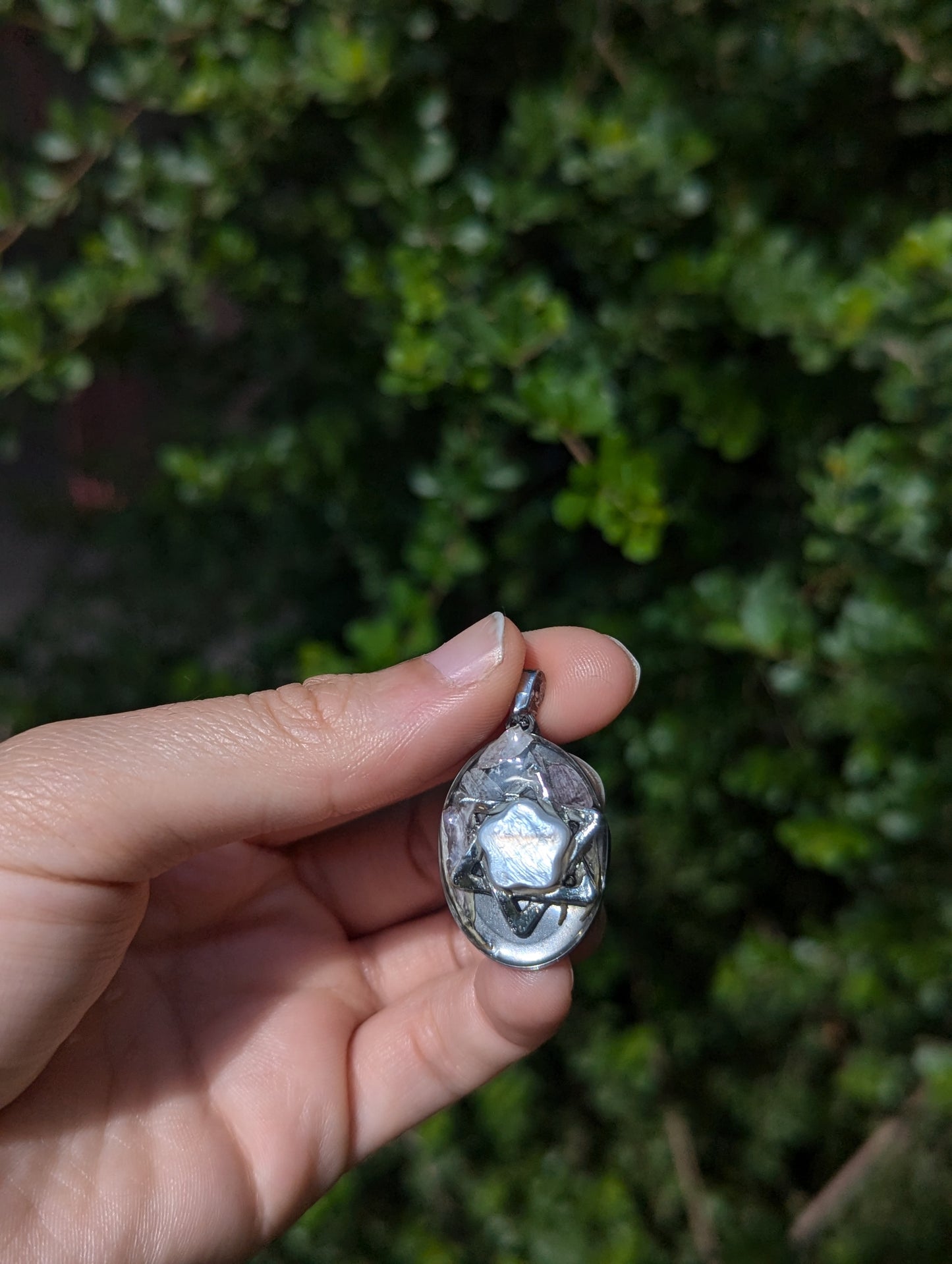 Israel Encapsulated: Israeli Pink Flower leaves and Silver Magen David