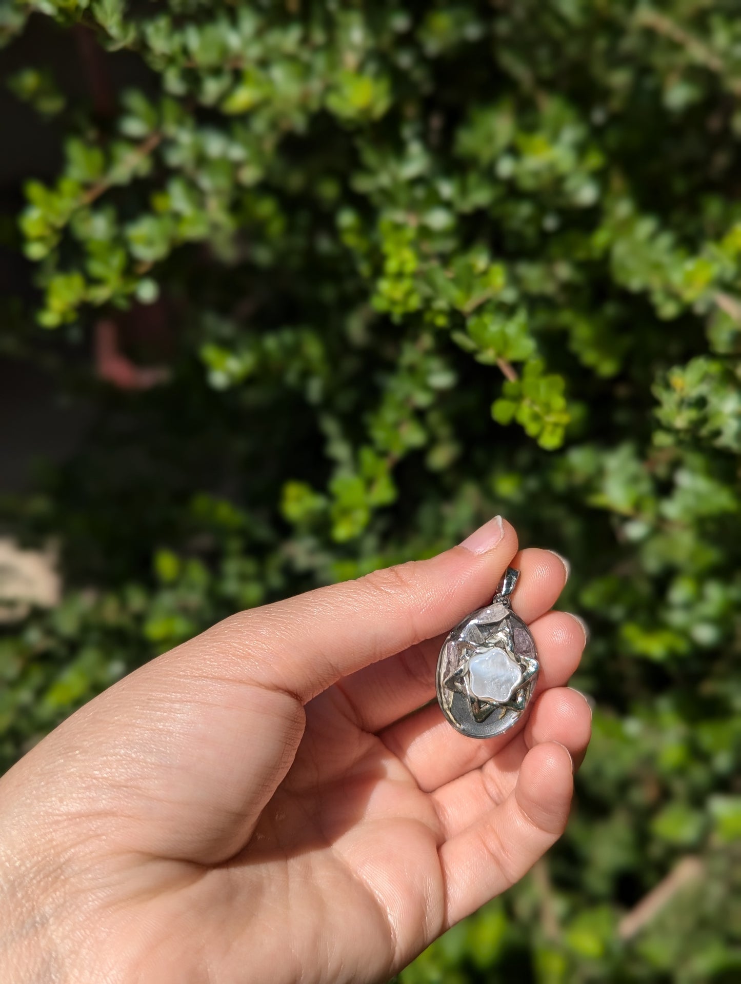 Israel Encapsulated: Israeli Pink Flower leaves and Silver Magen David