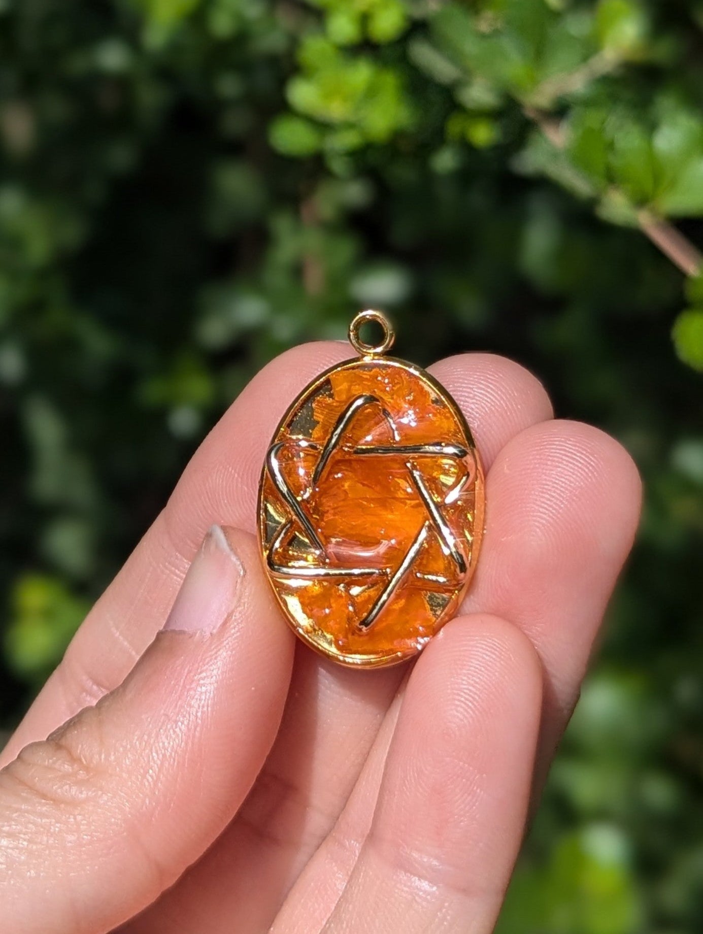 Israel Encapsulated: Gold Magen David & Israeli Orange Flower Leaves
