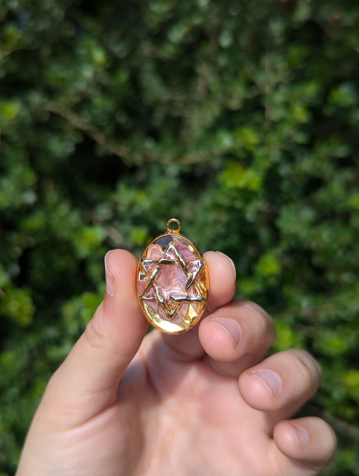 Israel Encapsulated: Gold Magen David & Israeli Purple Pink Flower Leaves