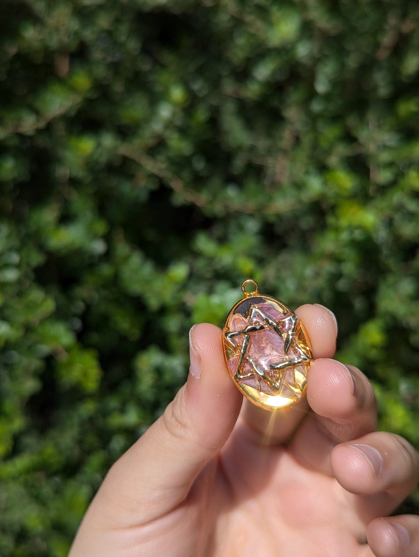 Israel Encapsulated: Gold Magen David & Israeli Purple Pink Flower Leaves