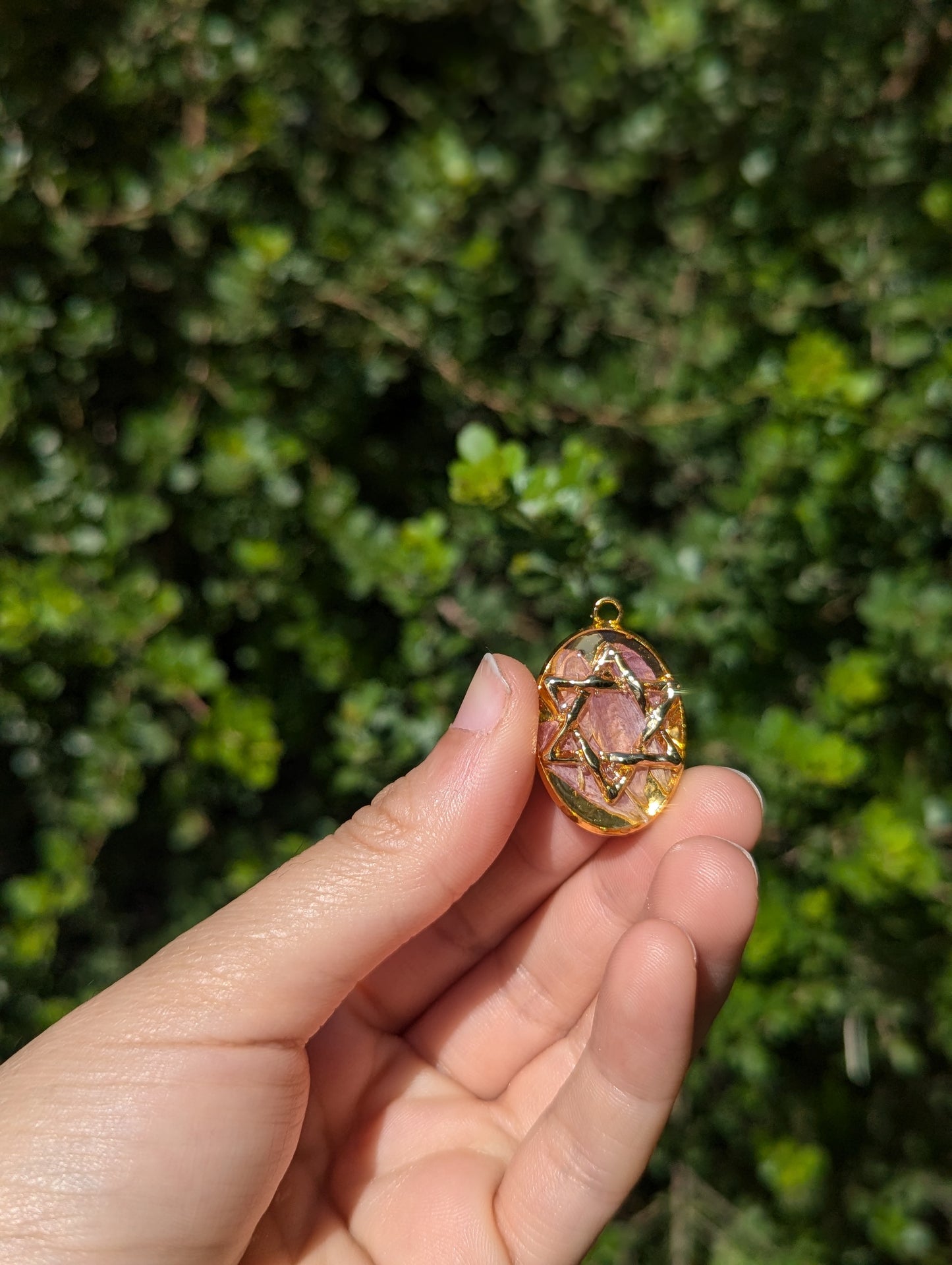 Israel Encapsulated: Gold Magen David & Israeli Purple Pink Flower Leaves