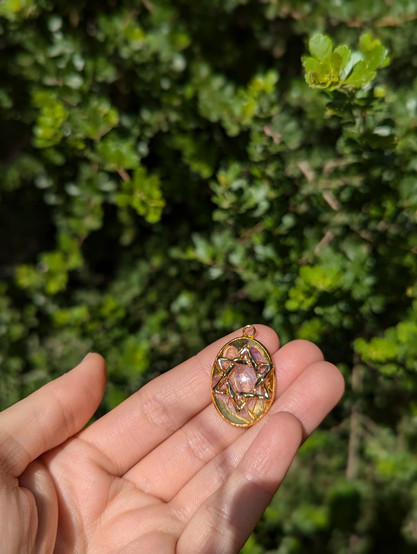 Israel Encapsulated: Gold Magen David & Israeli Purple Pink Flower Leaves