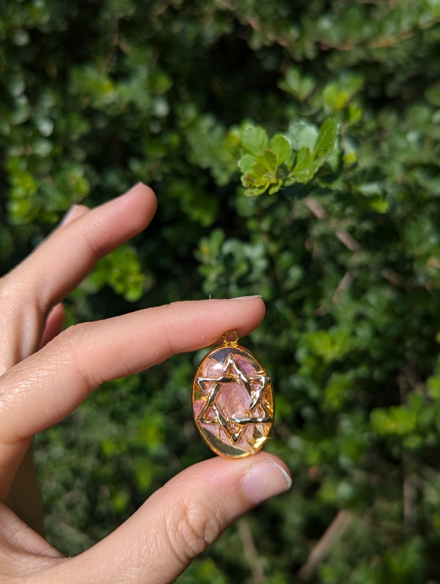 Israel Encapsulated: Gold Magen David & Israeli Purple Pink Flower Leaves