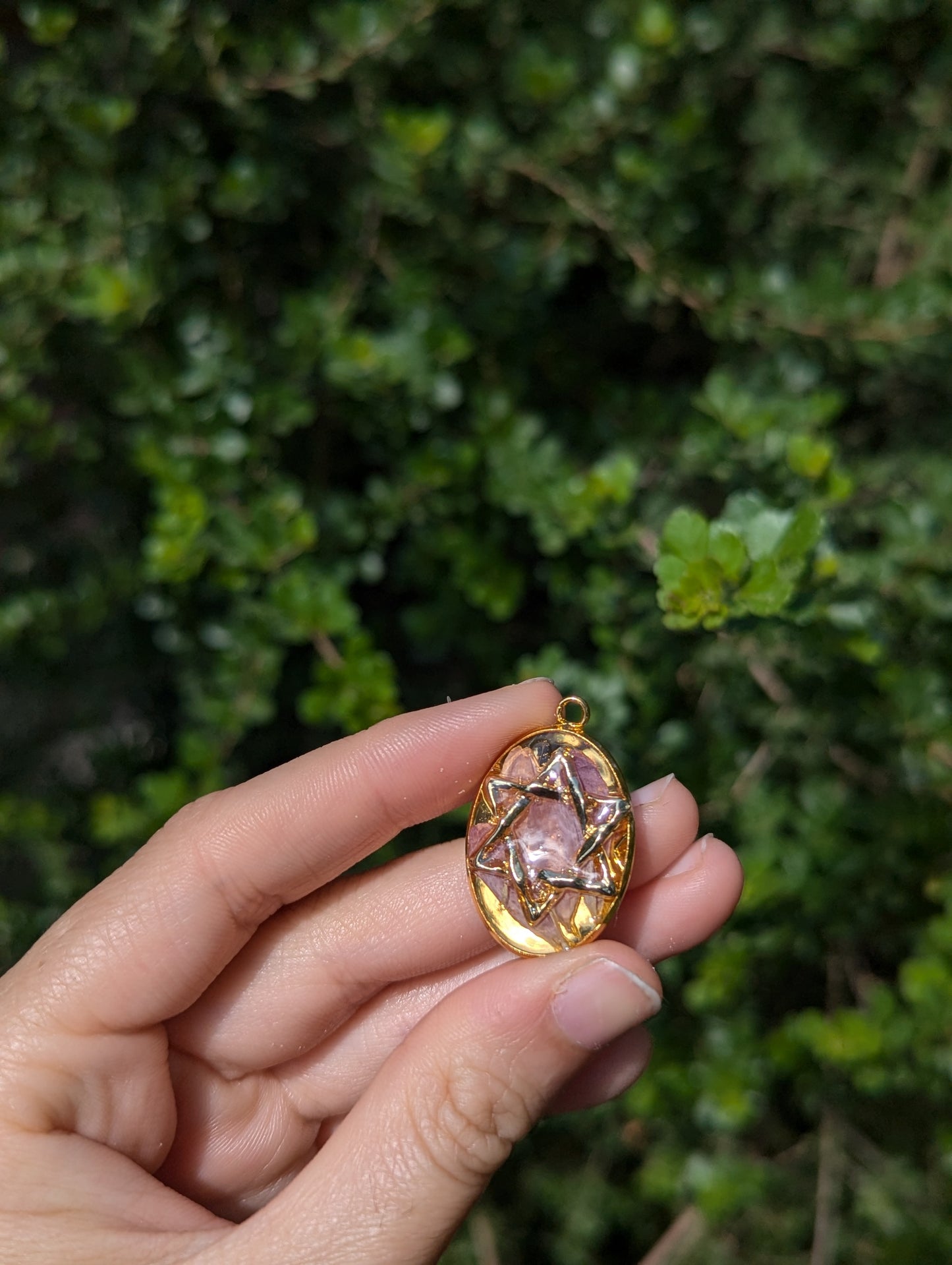 Israel Encapsulated: Gold Magen David & Israeli Purple Pink Flower Leaves