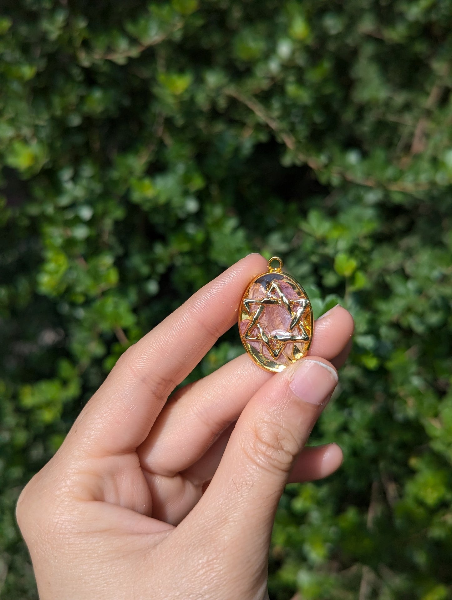 Israel Encapsulated: Gold Magen David & Israeli Purple Pink Flower Leaves