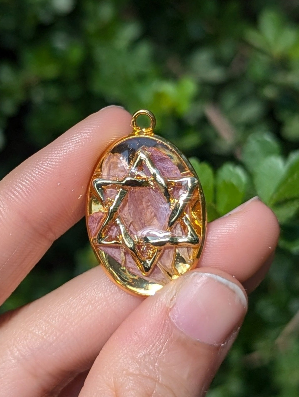 Israel Encapsulated: Gold Magen David & Israeli Purple Pink Flower Leaves