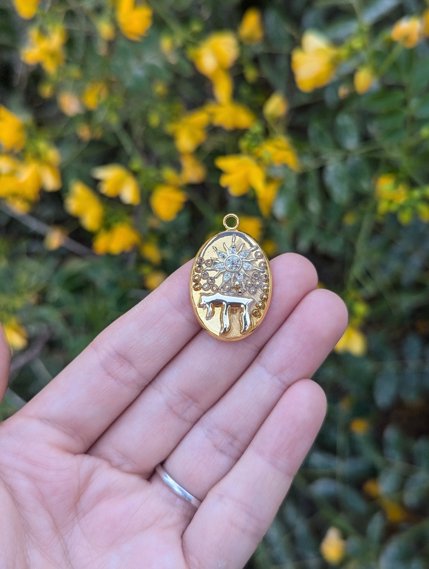 Shemesh Pendant in Resin with Gold plated Chai and Zirconia Sun