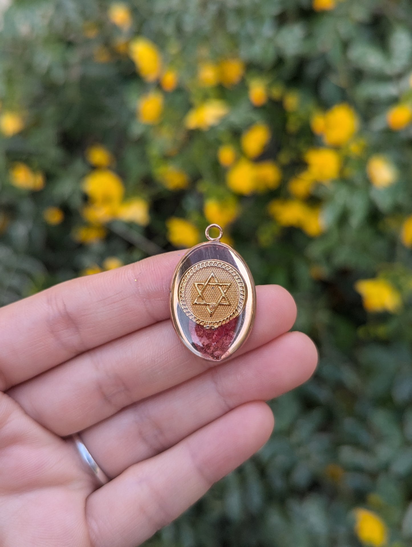 Ahava Pendant with Pink Israeli Flower and Magen David Coin