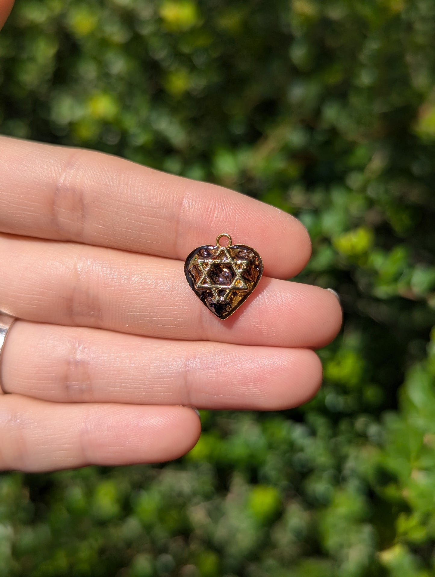 Tiny Israel Encapsulated: Conifer Cone & Gold Plated Magen David