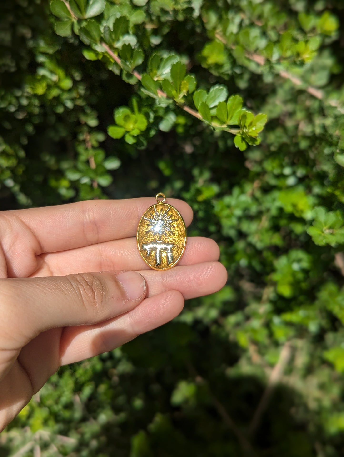Israel Encapsulated: Gold Chai Oval and Sun