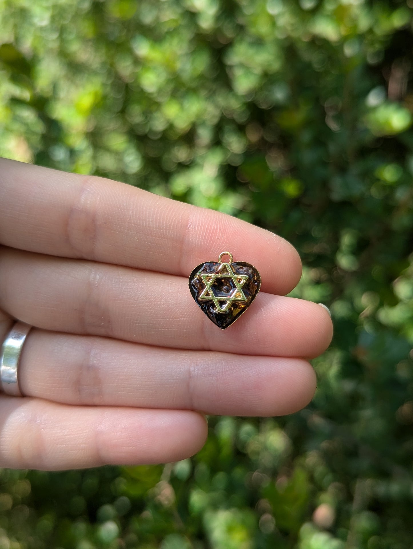 Tiny Israel Encapsulated: Conifer Cone & Gold Plated Magen David