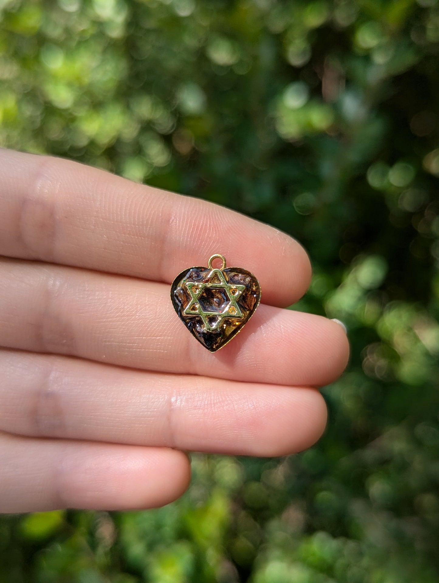 Tiny Israel Encapsulated: Conifer Cone & Gold Plated Magen David