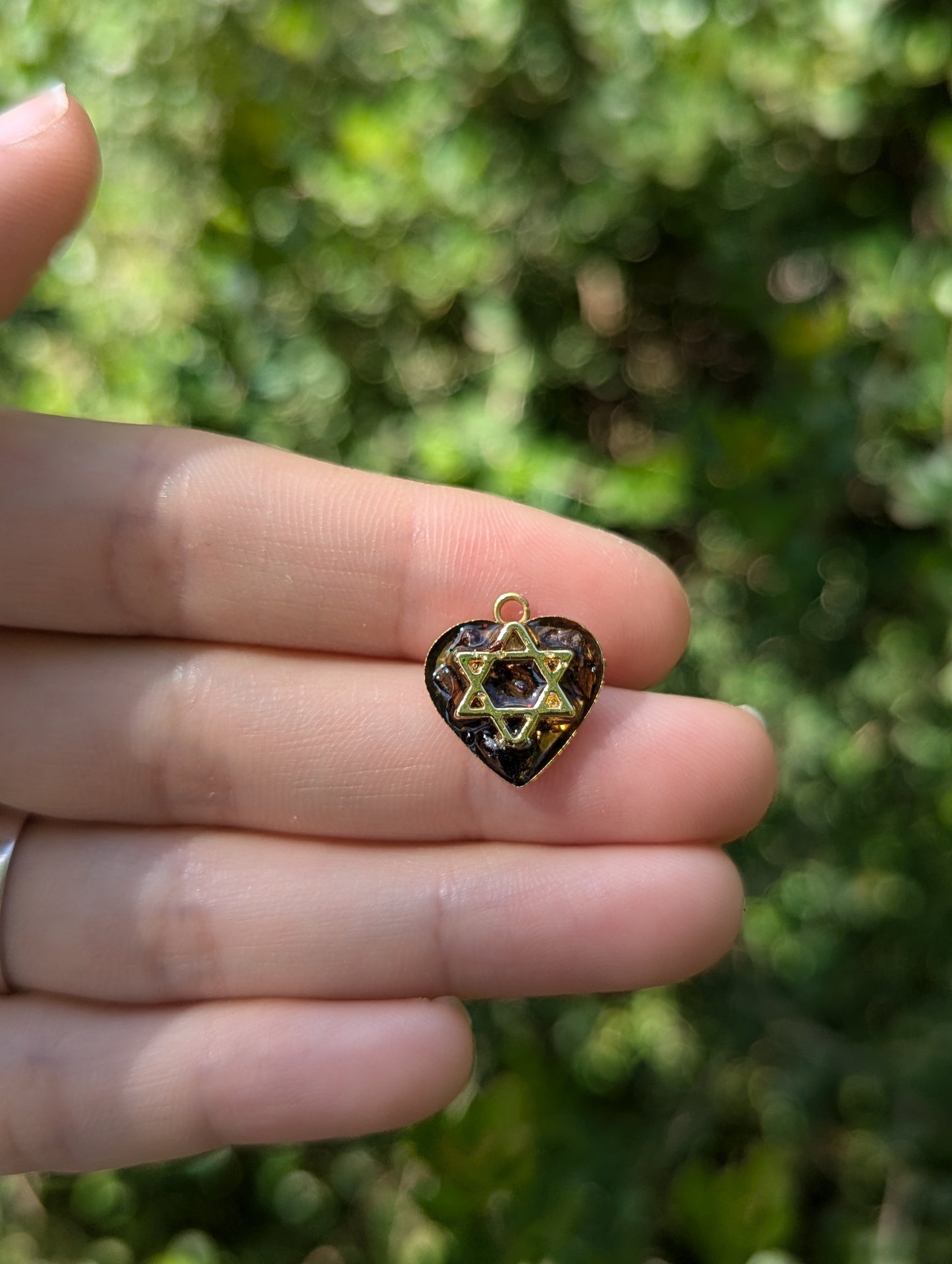 Tiny Israel Encapsulated: Conifer Cone & Gold Plated Magen David
