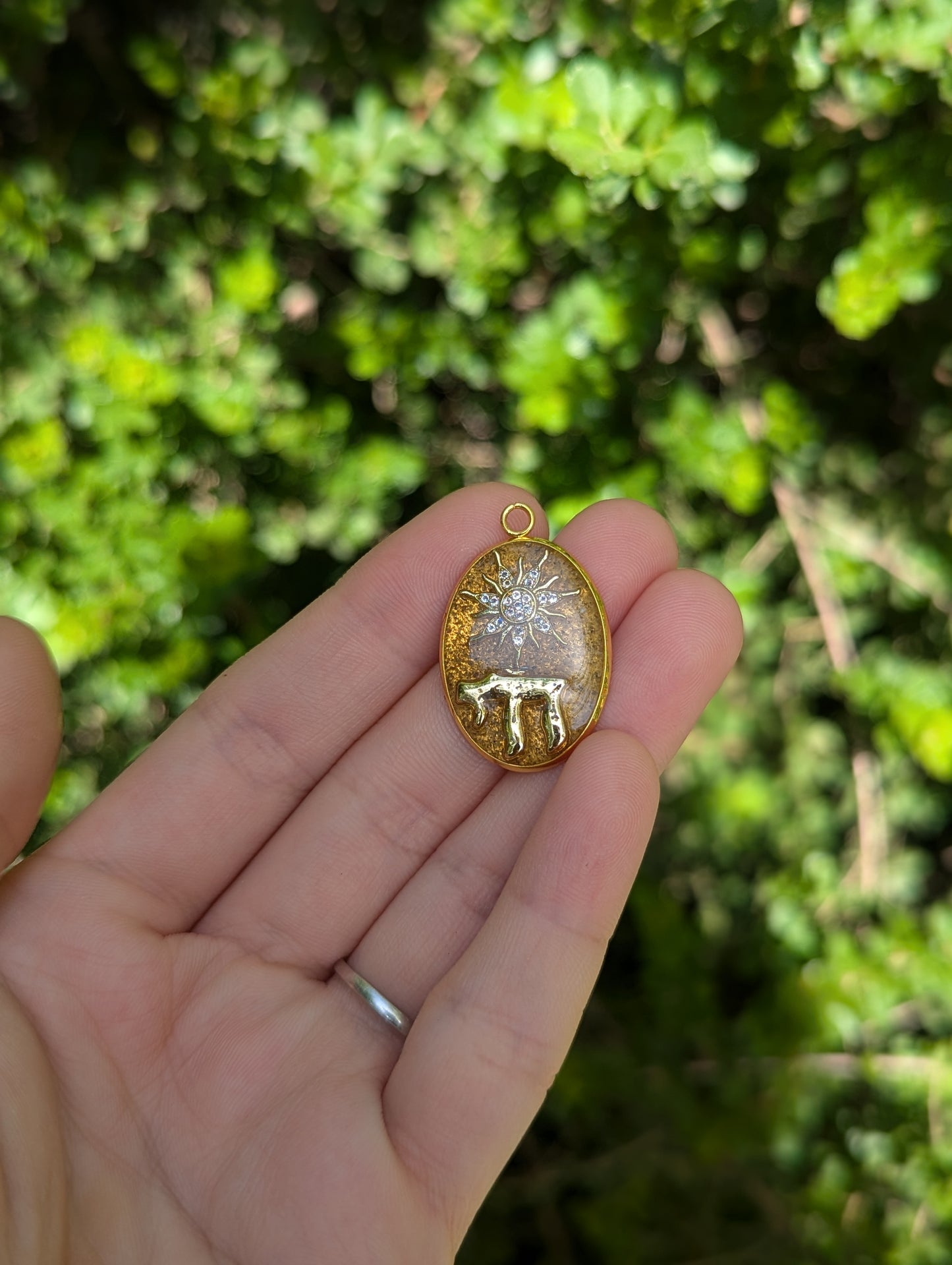 Israel Encapsulated: Gold Chai Oval and Sun
