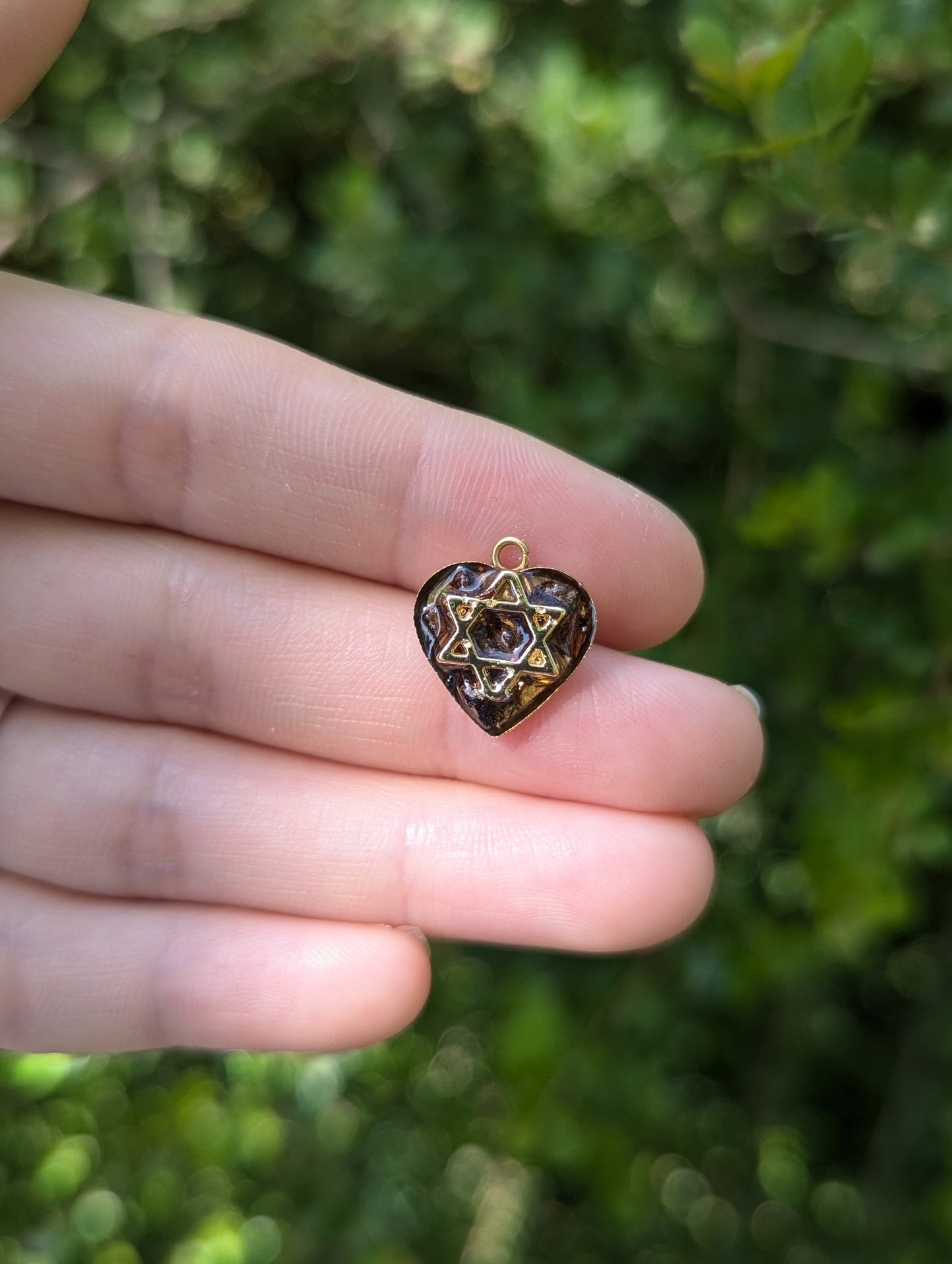 Tiny Israel Encapsulated: Conifer Cone & Gold Plated Magen David