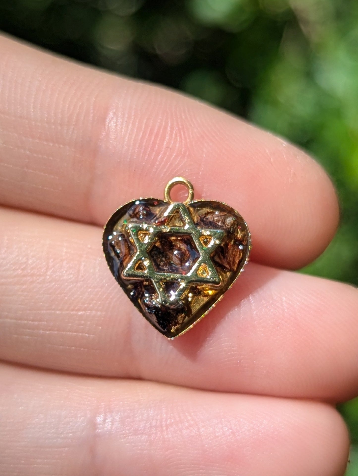 Tiny Israel Encapsulated: Conifer Cone & Gold Plated Magen David
