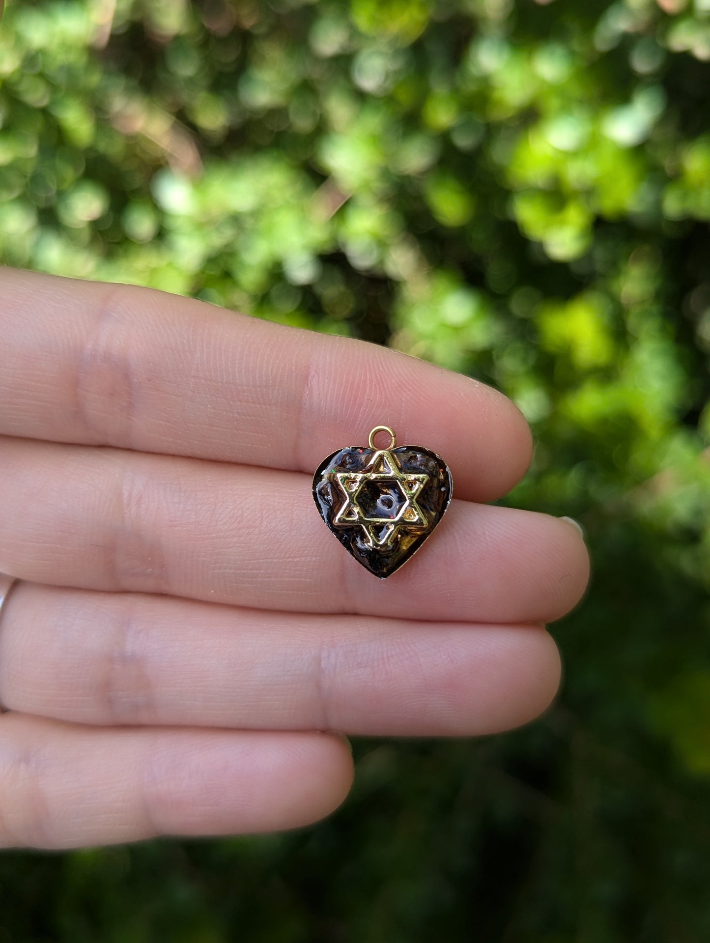 Tiny Israel Encapsulated: Conifer Cone & Gold Plated Magen David