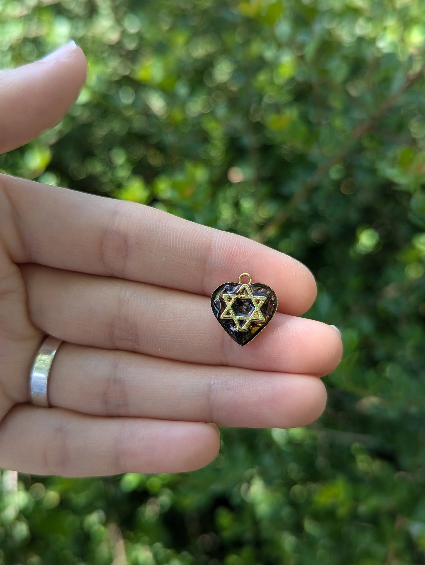 Tiny Israel Encapsulated: Conifer Cone & Gold Plated Magen David