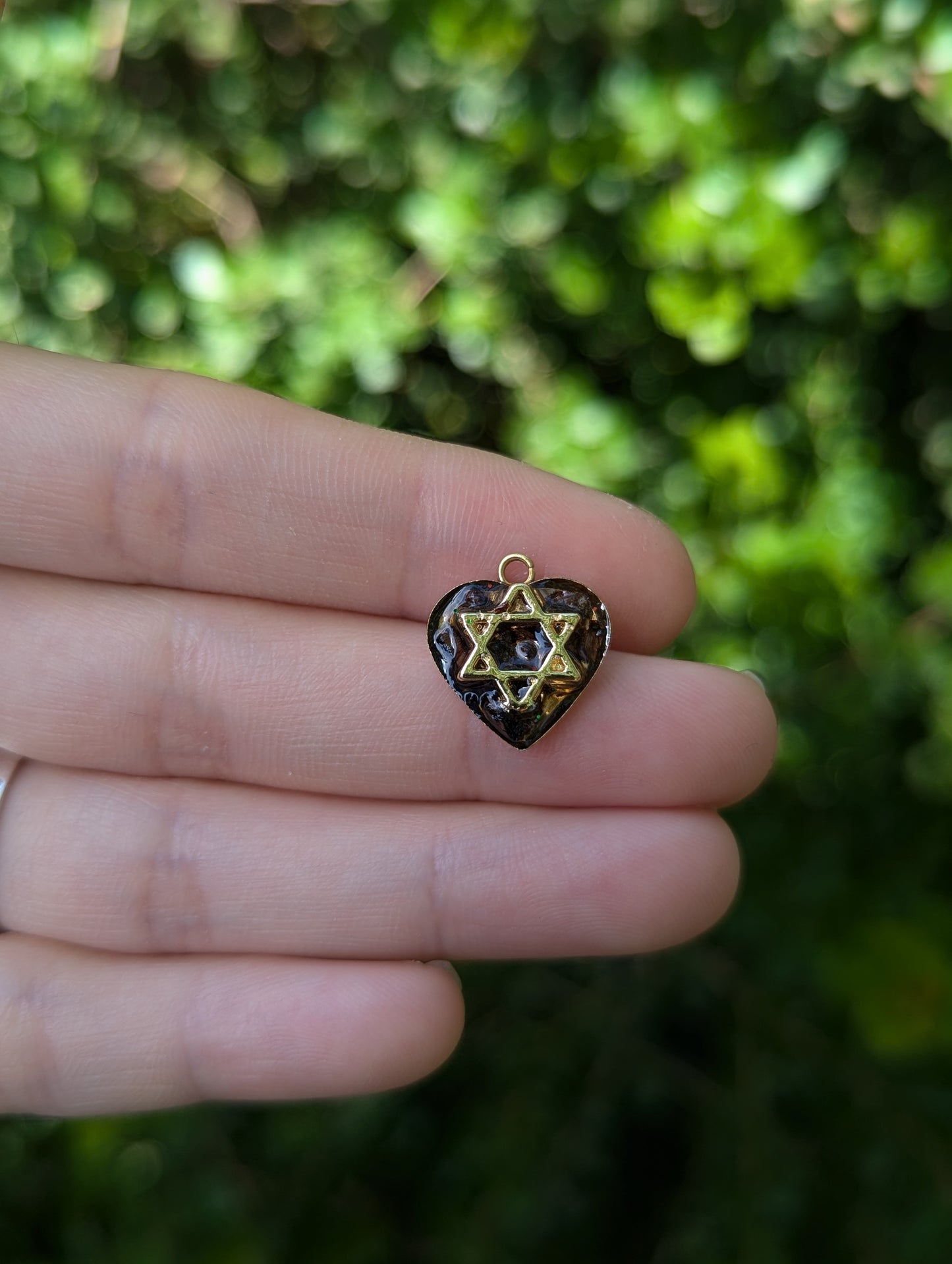 Tiny Israel Encapsulated: Conifer Cone & Gold Plated Magen David
