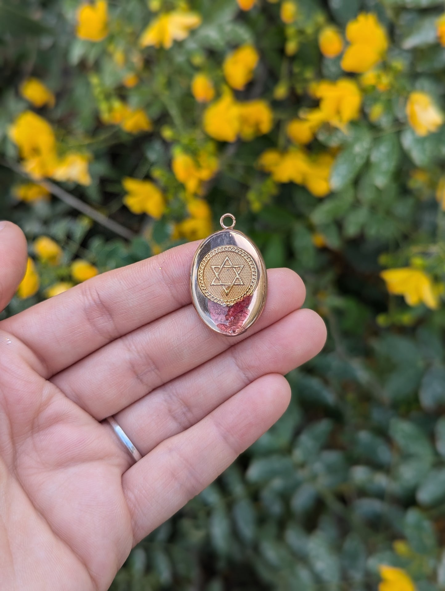 Ahava Pendant with Pink Israeli Flower and Magen David Coin