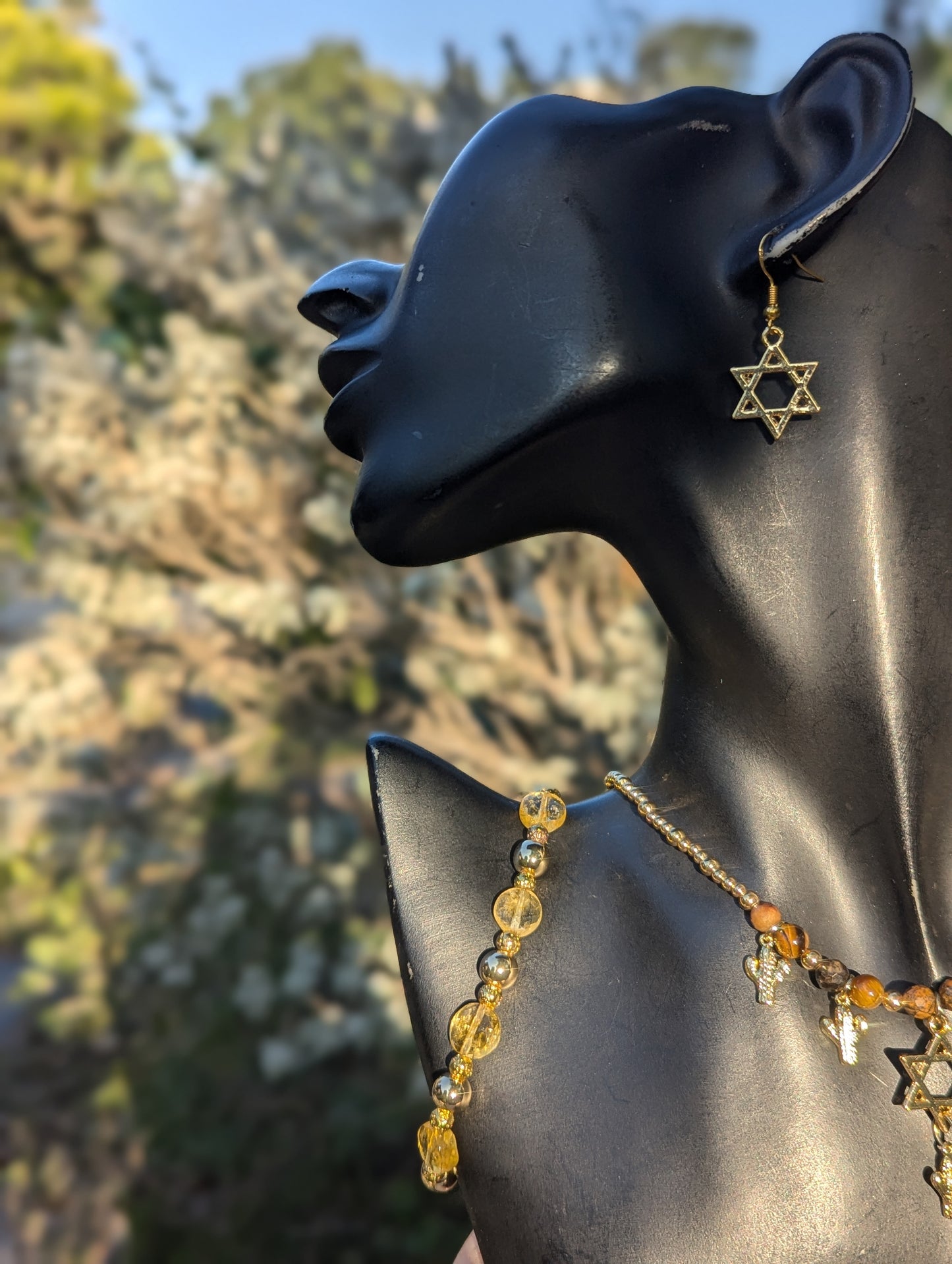 Gold Sabra Magen David Set with Tiger's Eye, Citrine & Jasper