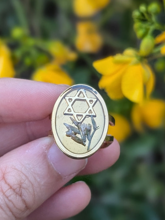 Alexa: Tiny Israeli White Flowers Magen David Gold Plated Adjustable Ring